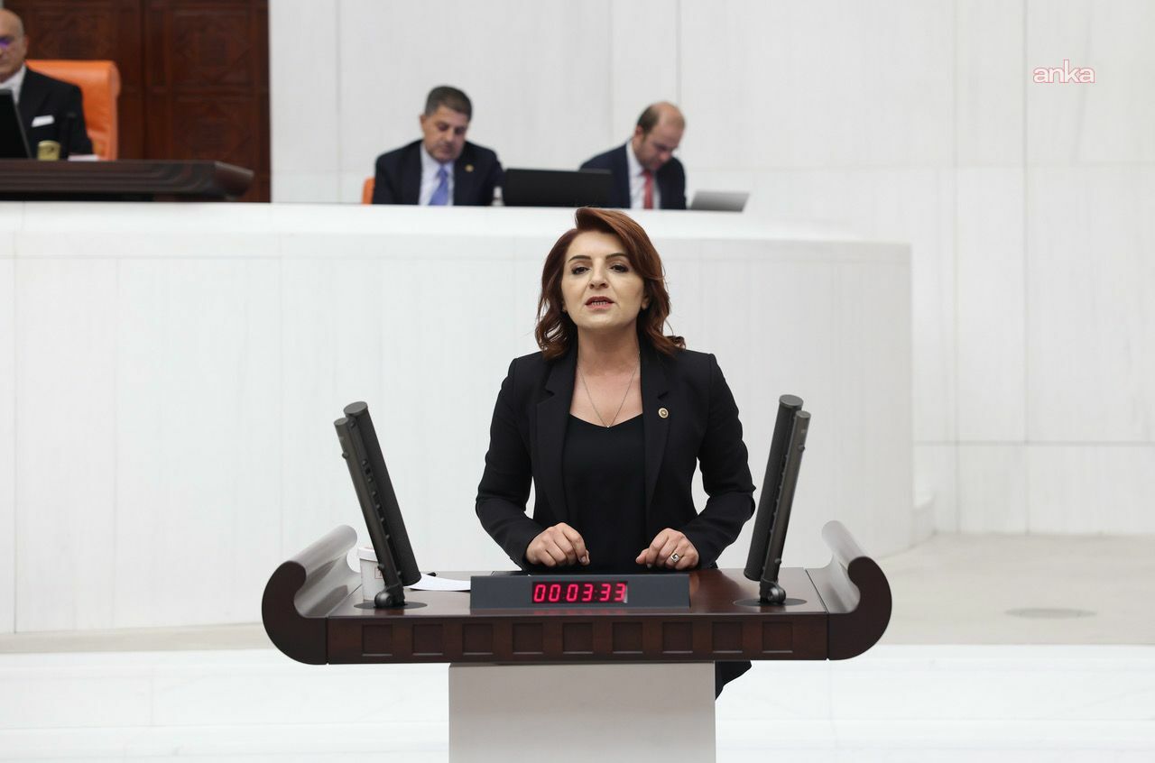 CHP’li Kış: “Garantili geçişlerin maliyeti devlet sırrı mı?”