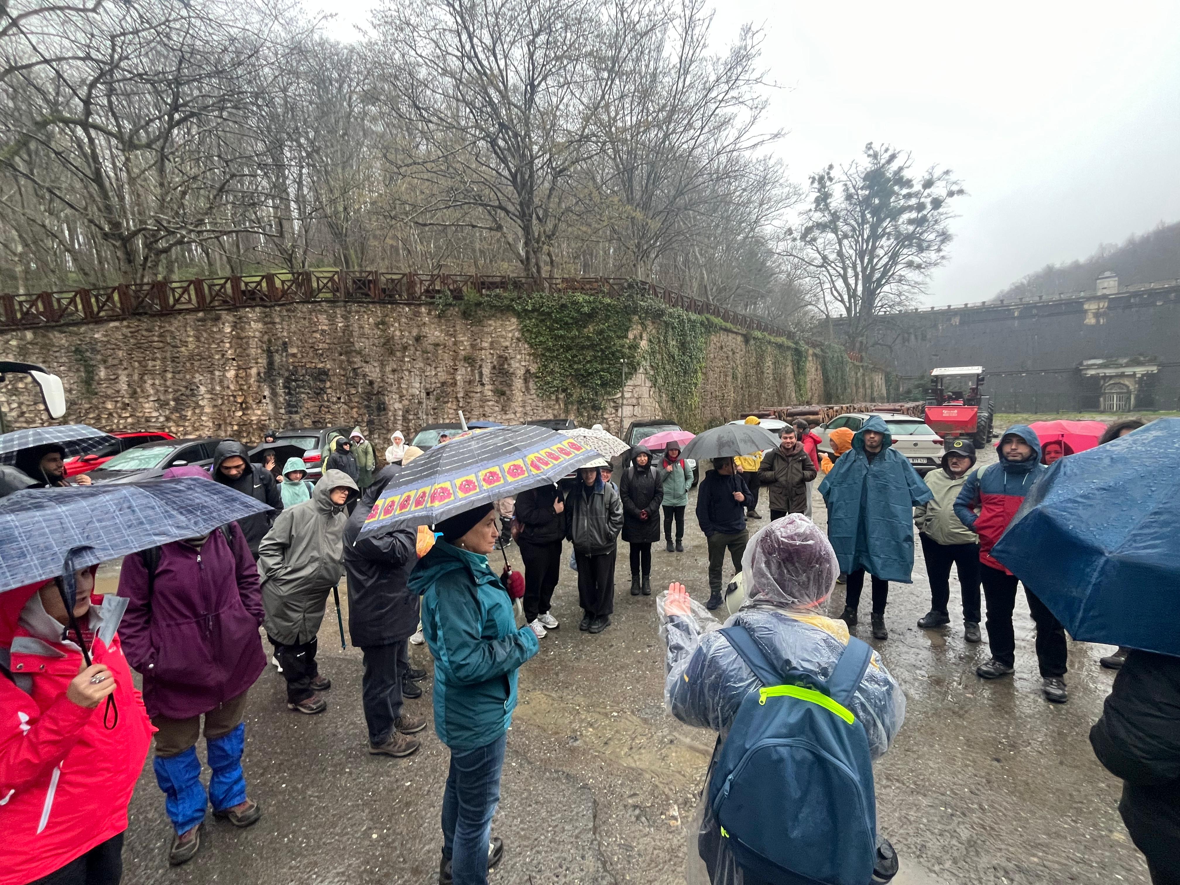 Belgrad Ormanı'nda yağmur altında yürüyüş... TOD Şube Başkanı Kaya: "Buraları yarın öbür gün tamamen turizme açacak ve ormanı tahrip edecek uygulamalar planlanıyor"