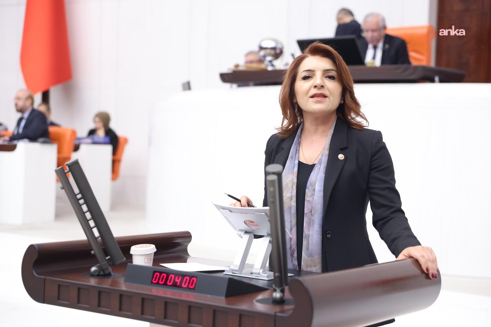 CHP'li Kış: "Bir ülkede 6,7 milyon genç ne eğitimde ne istihdamdaysa gerçek işsiz sayısı 12 milyona dayanmışsa buna başarı denemez"
