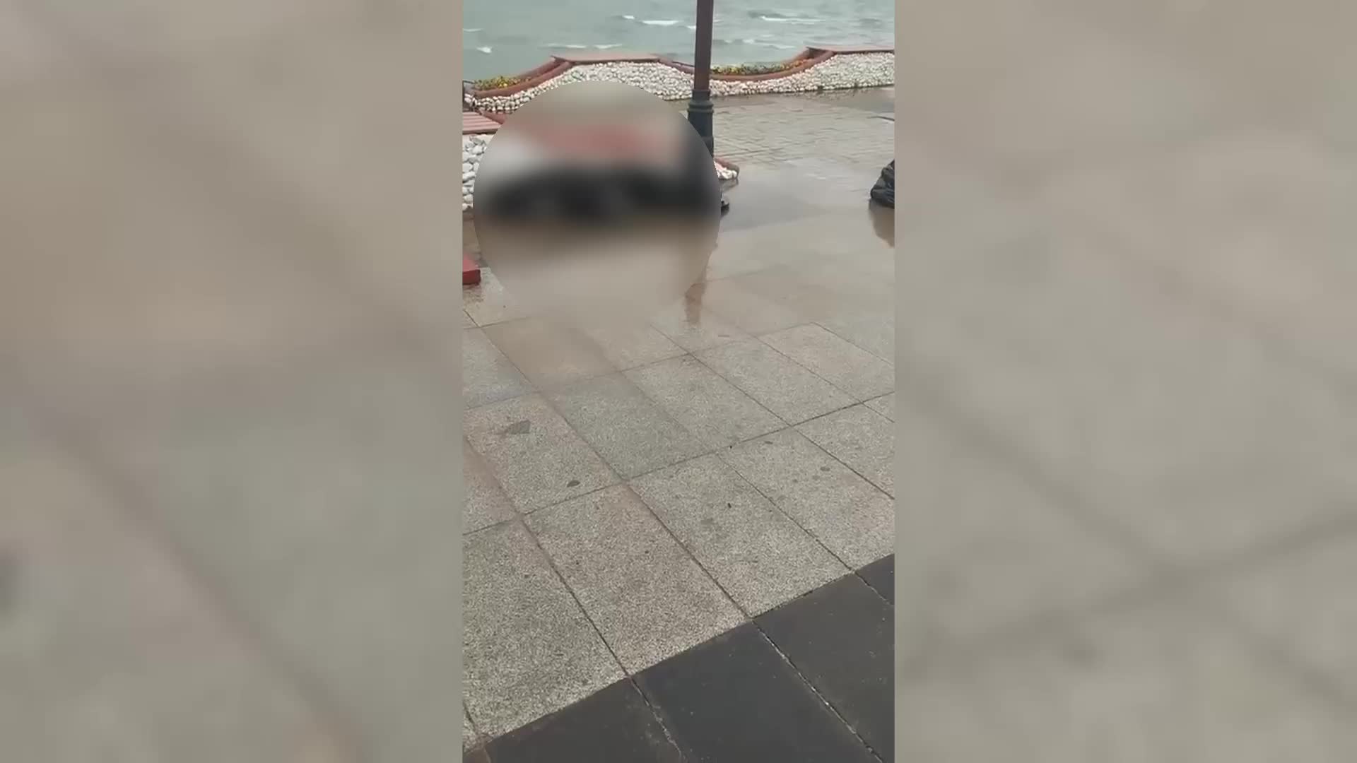 Didim Altınkum’da elektrik kaçağı bir köpeğin ölümüne neden oldu