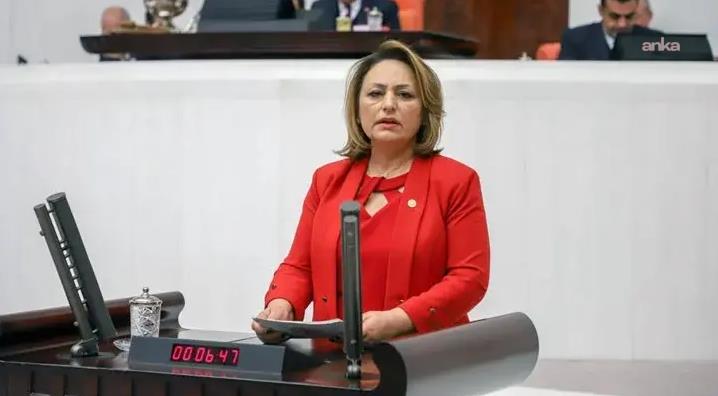 CHP’li Şevkin’den Adana-KKTC arası feribot seferi önerisi