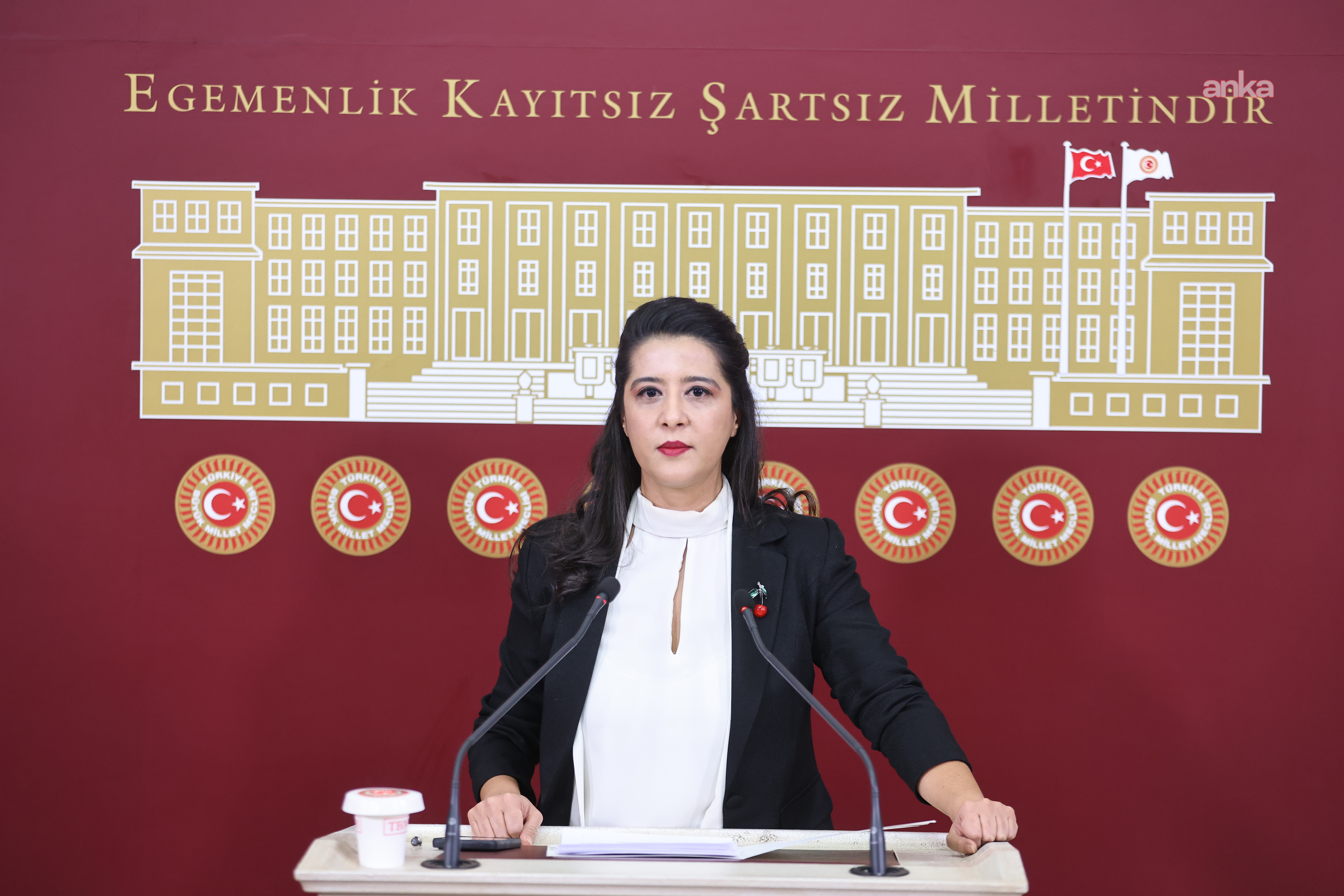 EMEP'li Karaca, Defne Devlet Hastanesi'nin sel nedeniyle kullanılamaz hale gelmesini TBMM gündemine taşıdı