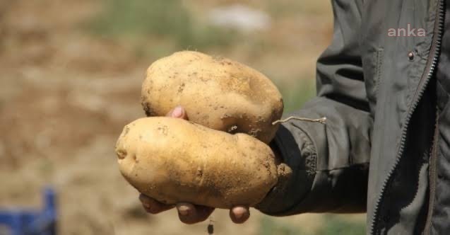 ANAYASA MAHKEMESİ'NDEN PATATES FİRMASI İÇİN ÖRNEK SENDİKALAŞMA KARARI