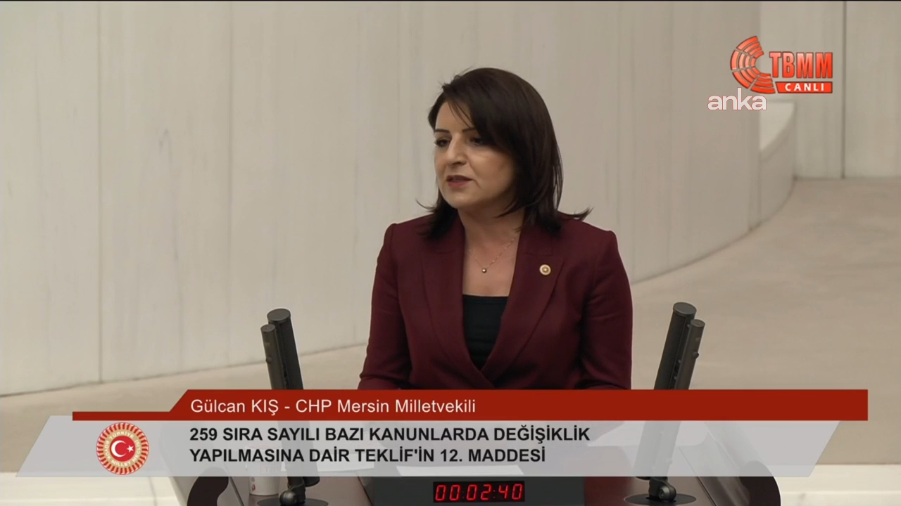 TBMM Genel Kurulu... CHP'li Kış: Depremzedelerin evi üzerinden bütçe açığını kapatmaya çalışırken 'indirim yaptık' diyorsunuz