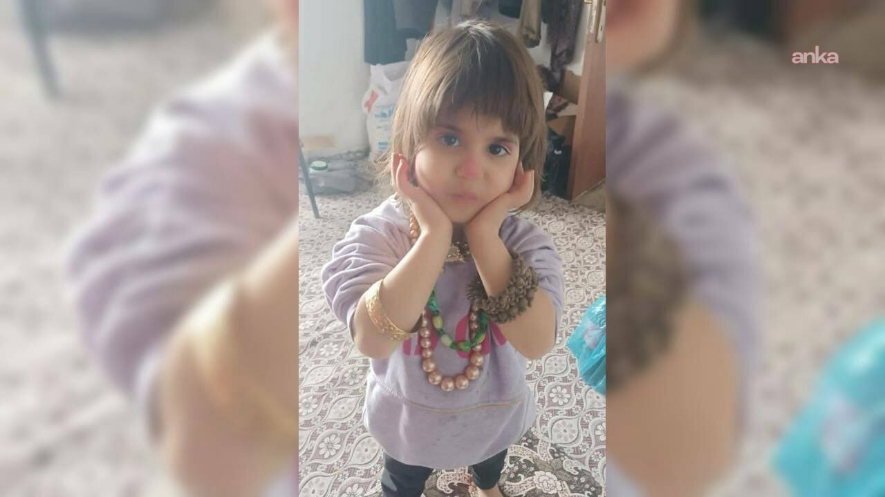 Bitlis’te kayıp 4 yaşındaki Rabia için ekipler seferber oldu