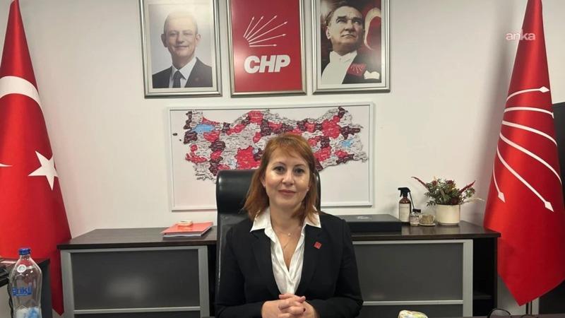 Elektrik ve doğalgaza yüzde 25 zam... Güldem Atabay: Zam demek, boğazından geçeni daha da eksilttiğin aylar demek