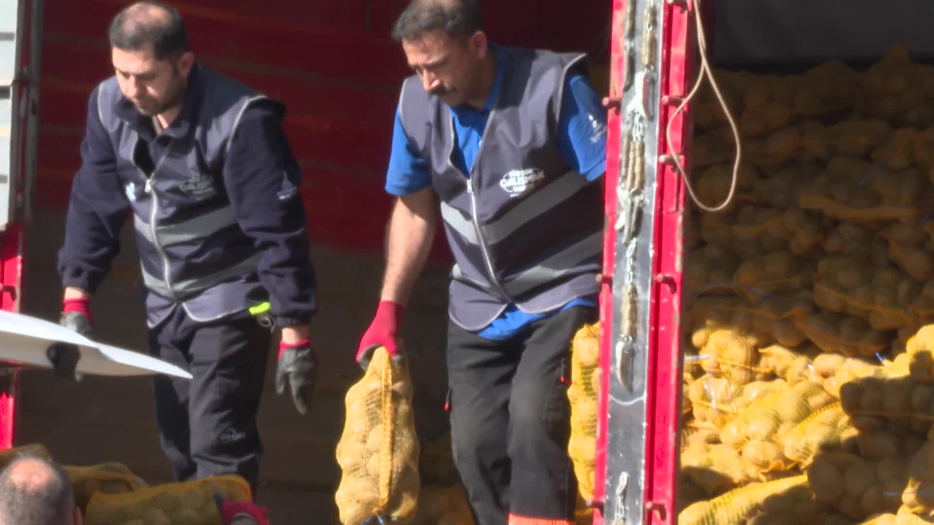 İzmir Büyükşehir Belediyesi, tarlada kalan 300 ton patatesi satın aldı, patatesler dar gelirli 60 bin haneye dağıtılacak