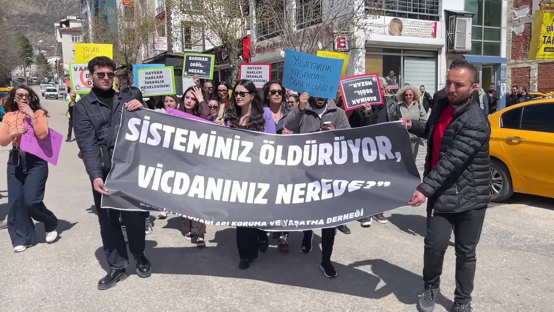 Dersim Hayvanları Koruma ve Yaşatma Derneği'nden barınak protestosu: “Bu bir ihmal değil, yok etme politikası"