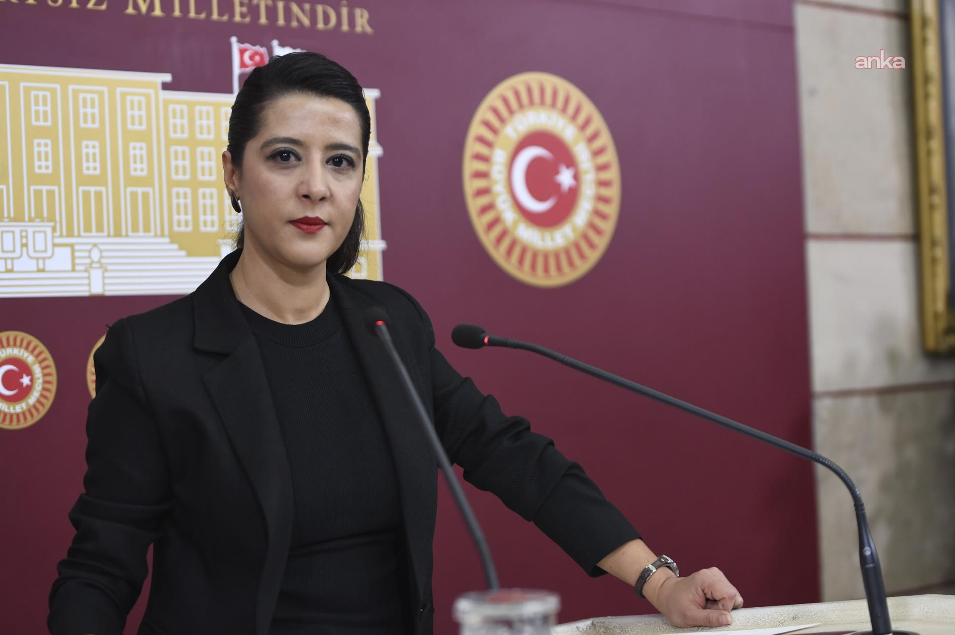 EMEP'li Karaca, Afşin Elbistan Termik Santrali’nde yaklaşık bin işçinin işten çıkarıldığı iddiasını TBMM gündemine taşıdı