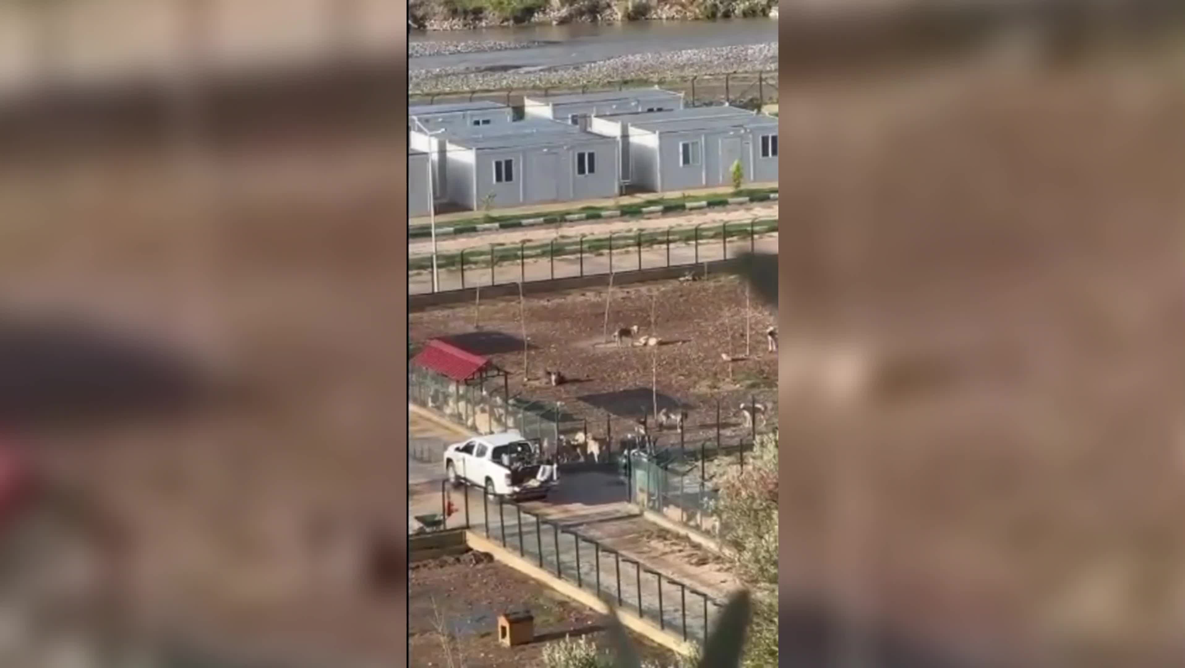 Osmaniye'de hayvan barınağı görevlisi açığa alındı