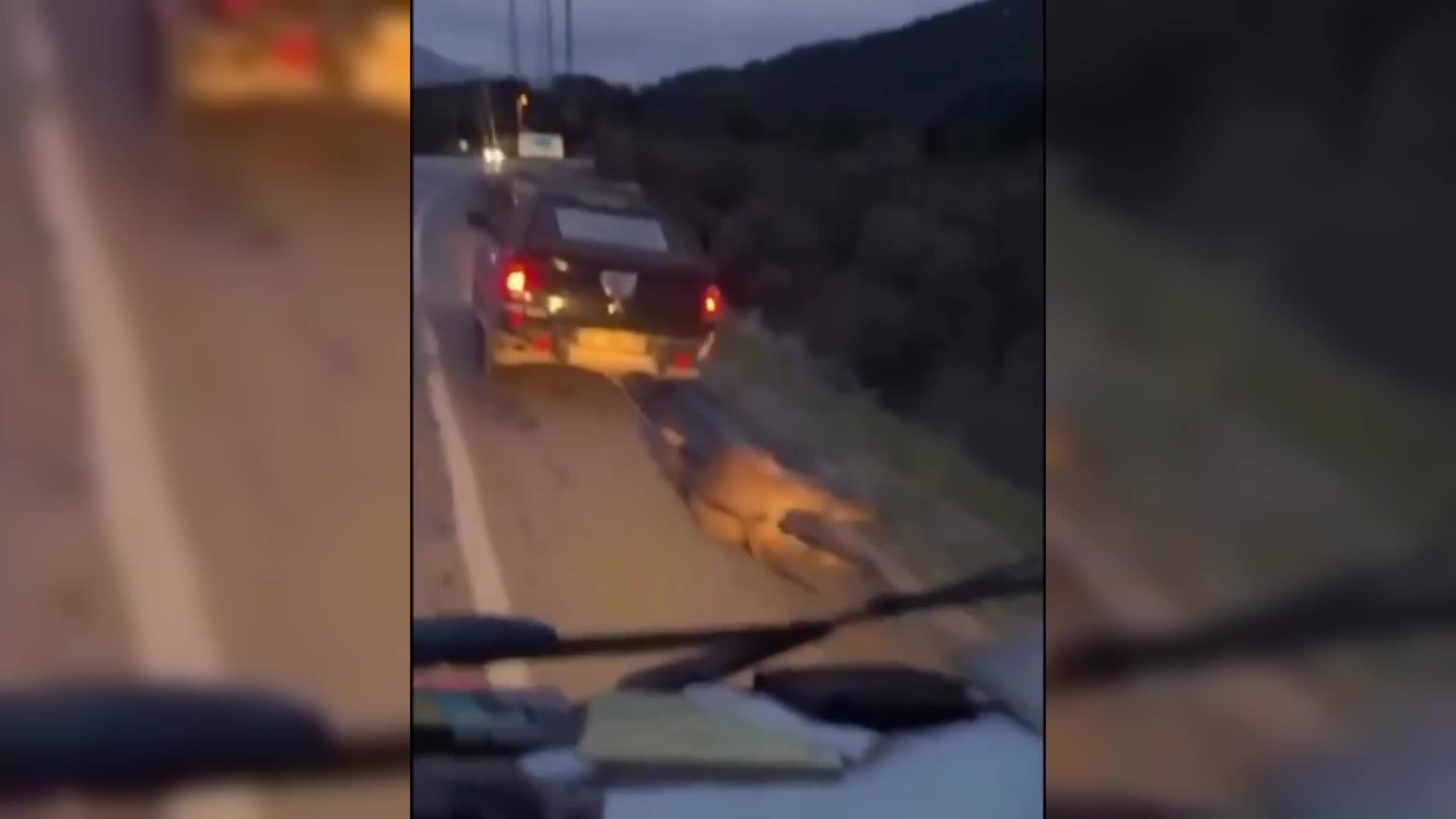 Muğla'da eşeği aracın arkasına bağlayarak sürükleyen 2 kişi gözaltına alındı, şahıslara para cezası kesildi