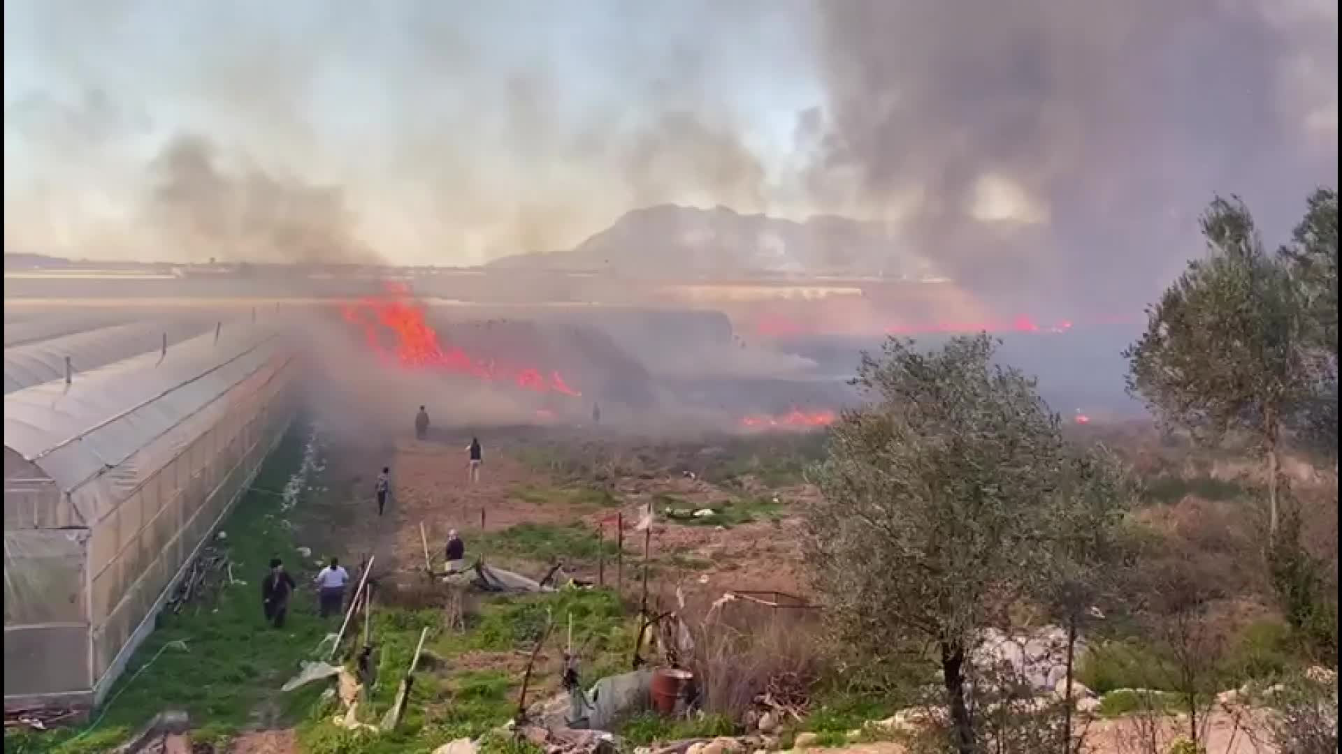ANTALYA BÜYÜKŞEHİR'DEN KAŞ'TAKİ YANGINDA SERASI ZARAR GÖREN ÜRETİCİYE DESTEK