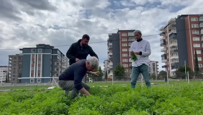 Adıyaman Belediyesi'nin hasat ettiği soğan, maydanoz ve ıspanak satışa sunuldu
