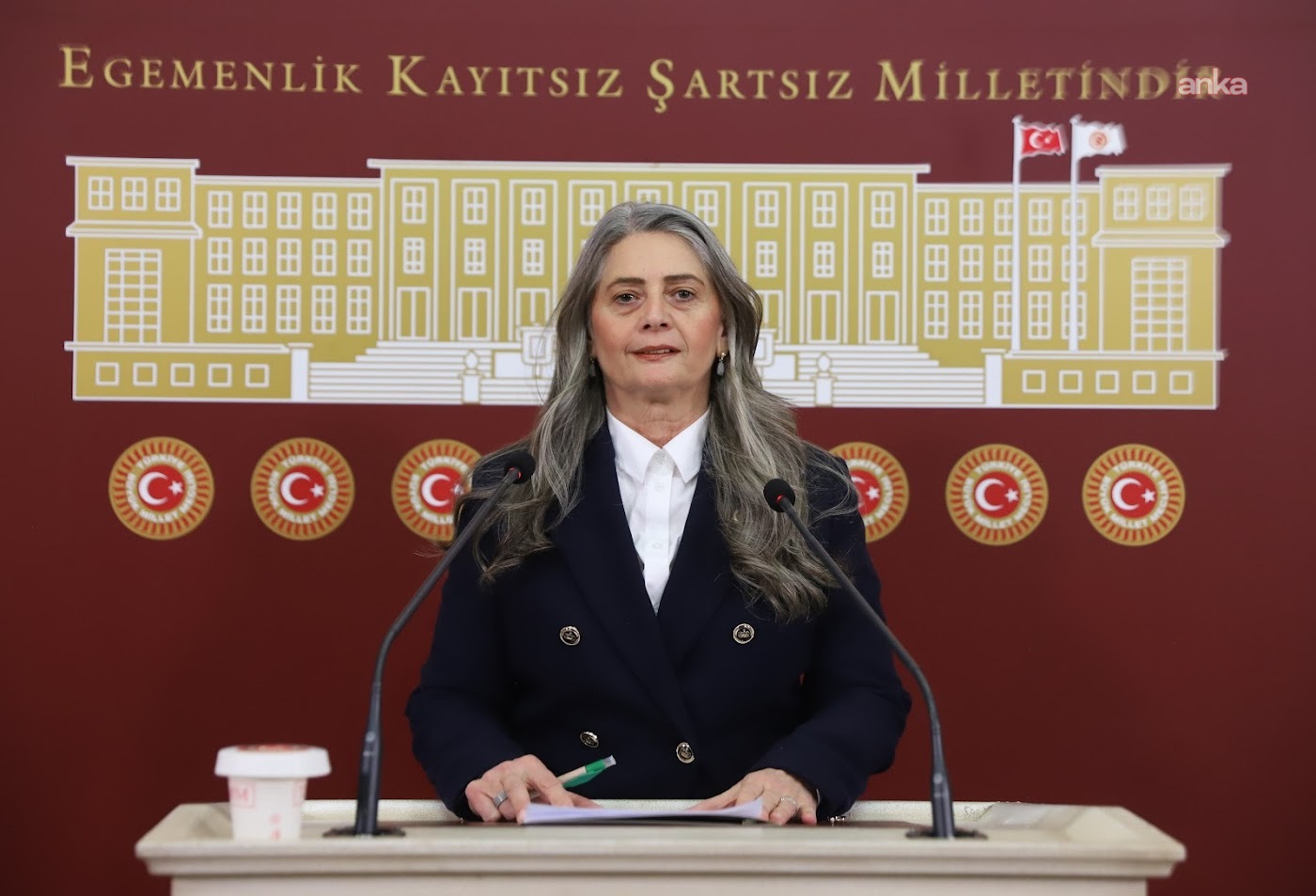 CHP’li Suiçmez: ‘Türkiye bir hukuk devletidir’ diye demeçler vermek hukuk devletinin gereklilikleri için yeterli olmuyor