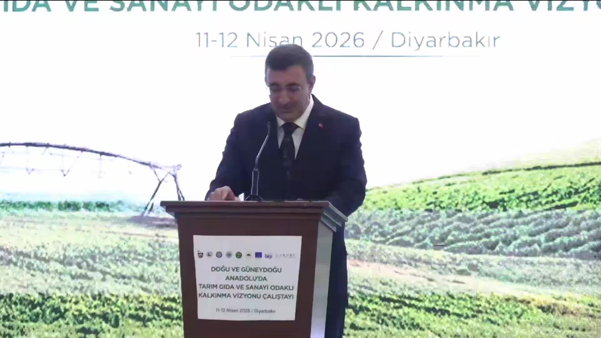 Cumhurbaşkanı Yardımcısı Yılmaz: Doğu ve Güneydoğu'da geçmişin ihmallerini telafi etmeye uğraşıyoruz
