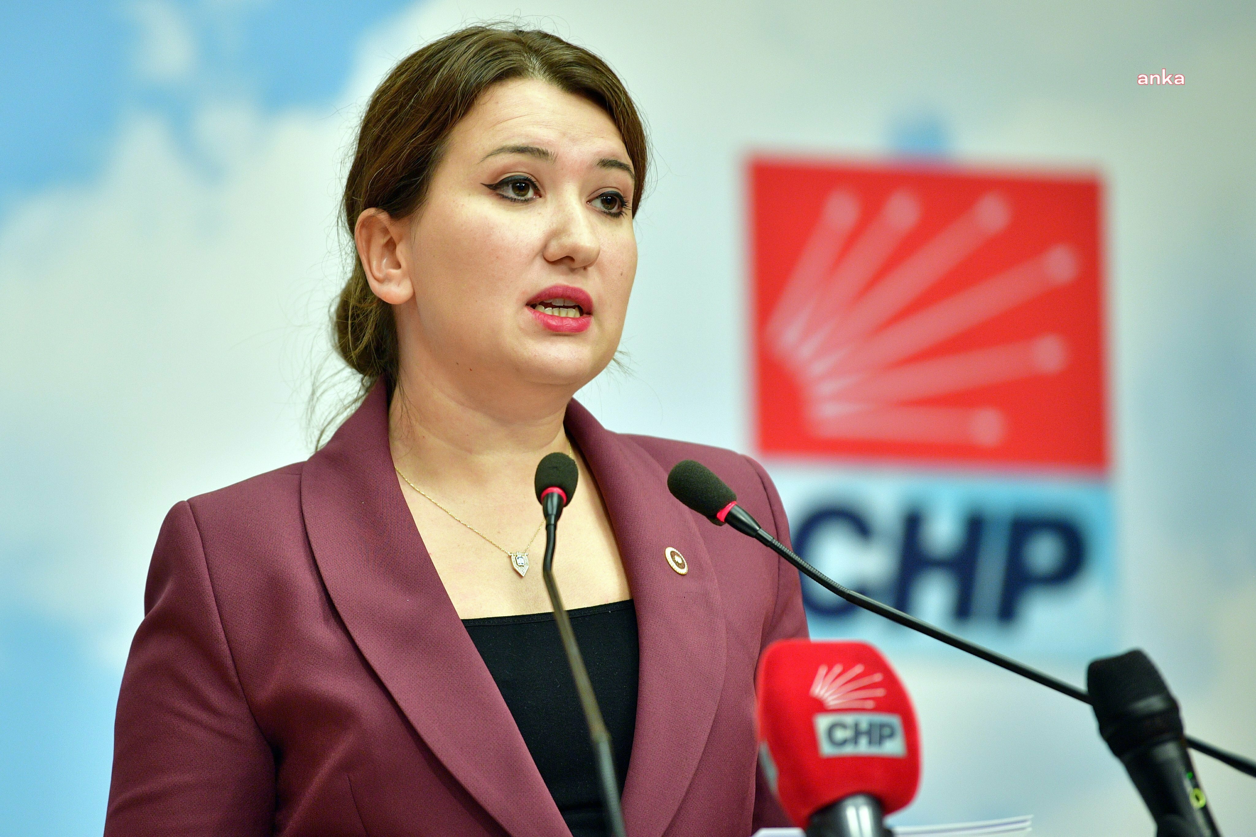 Gökçe Gökçen'den 'ara seçim' açıklaması: TBMM üyeliklerinde boşalma olması halinde, ara seçime gidilir