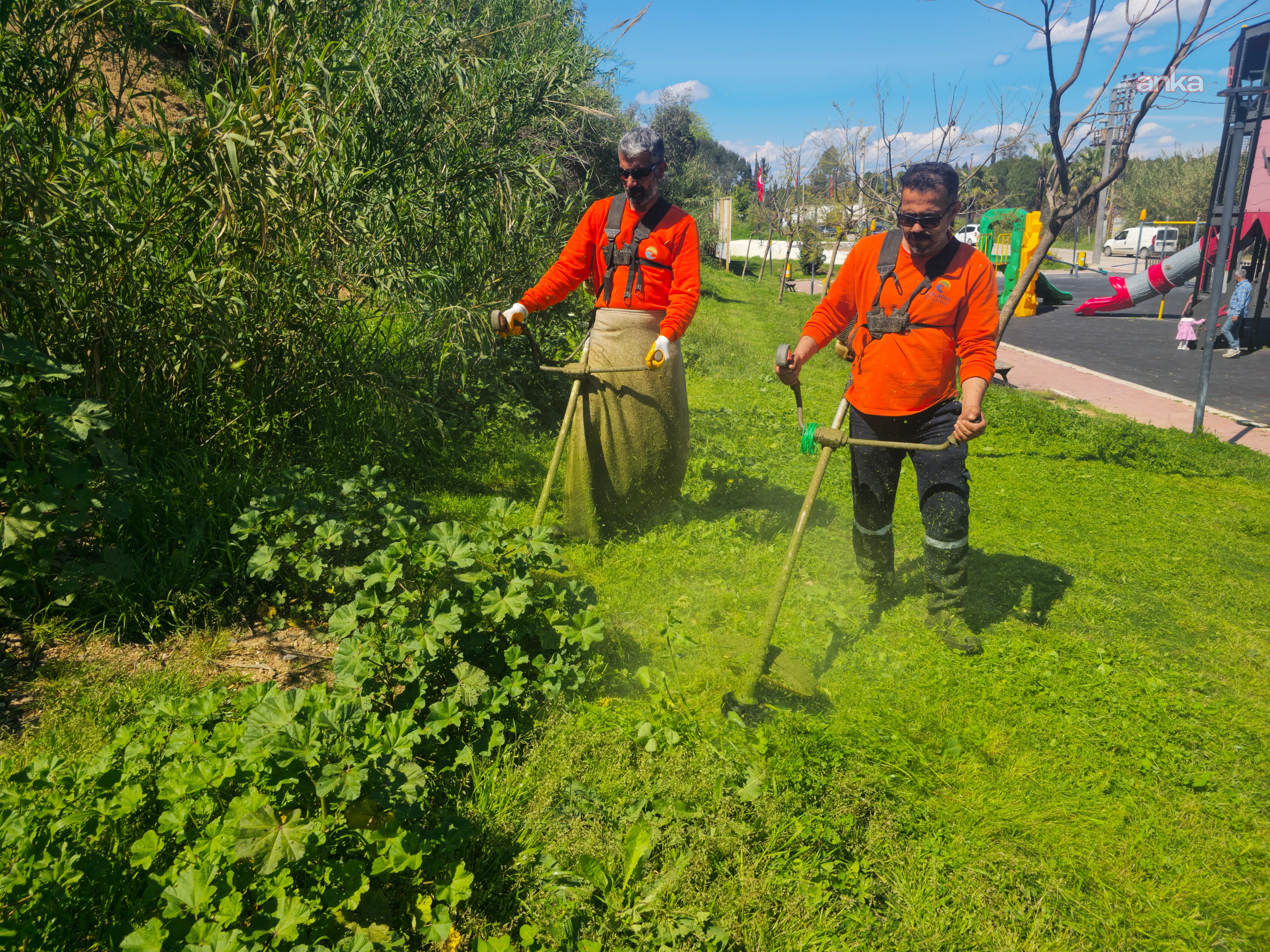 Çukurova Belediyesi'nden park ve yeşil alanlarda yoğun mesai