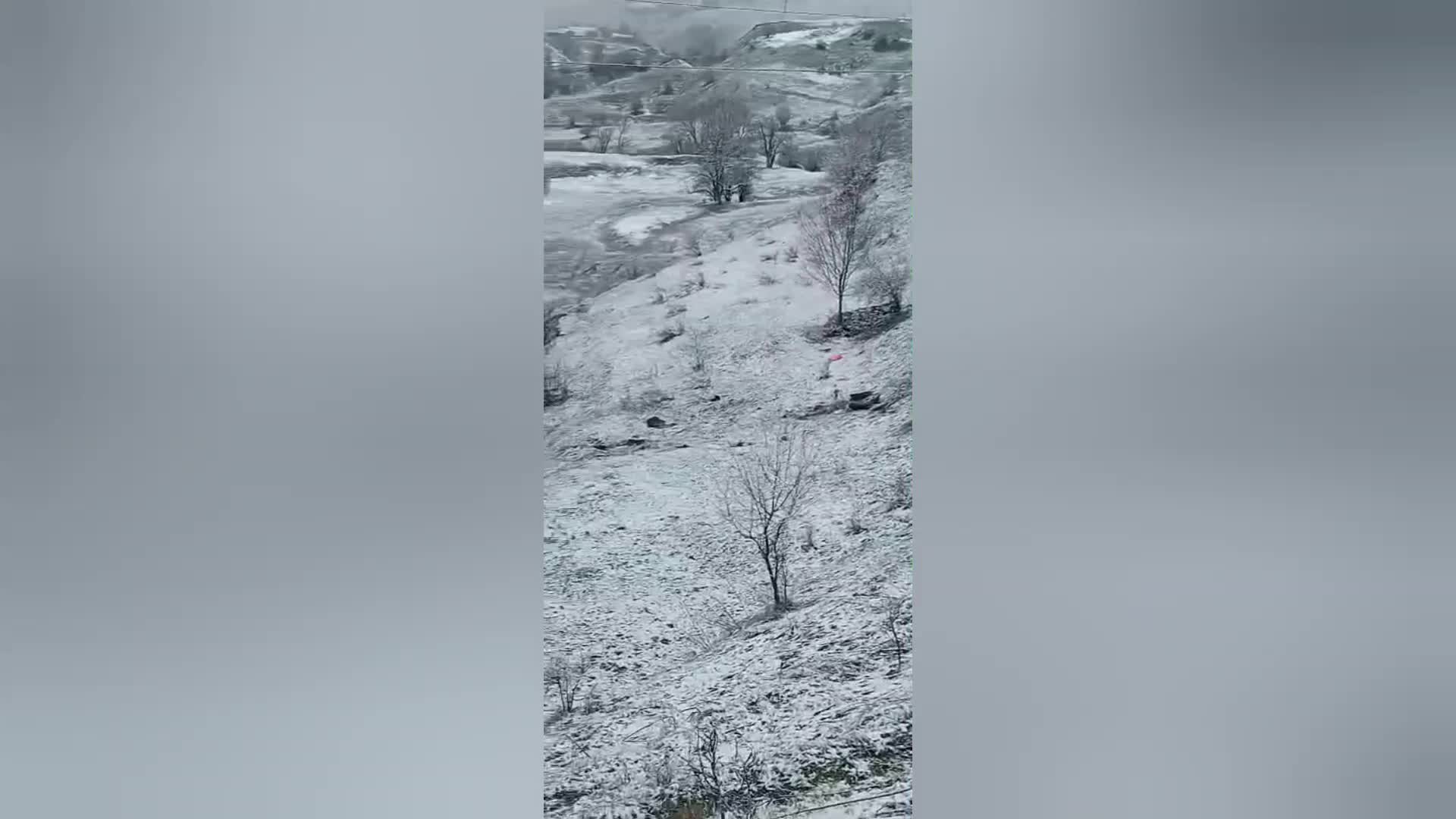Artvin’de ambulans kazası: 1 ölü, 4 yaralı
