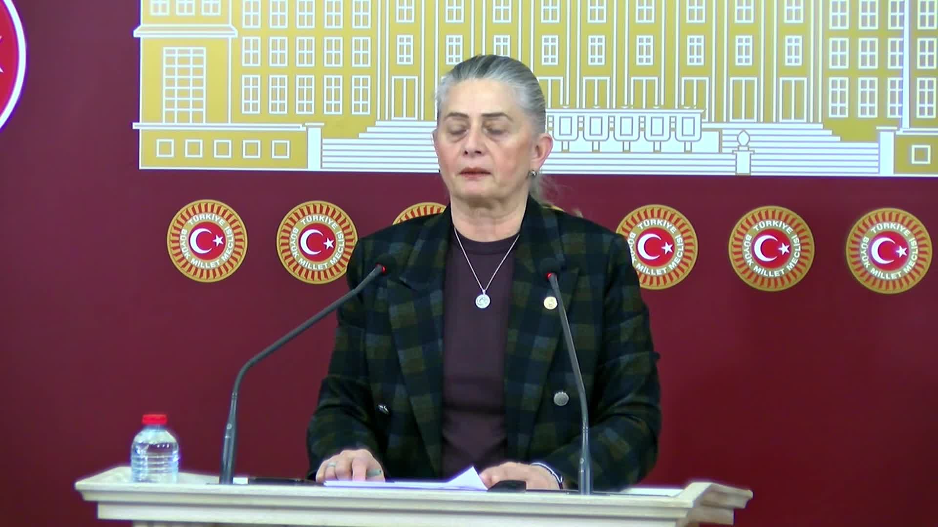 Sibel Suiçmez: Sekü'deki tüm maden faaliyetleri derhal durdurulsun