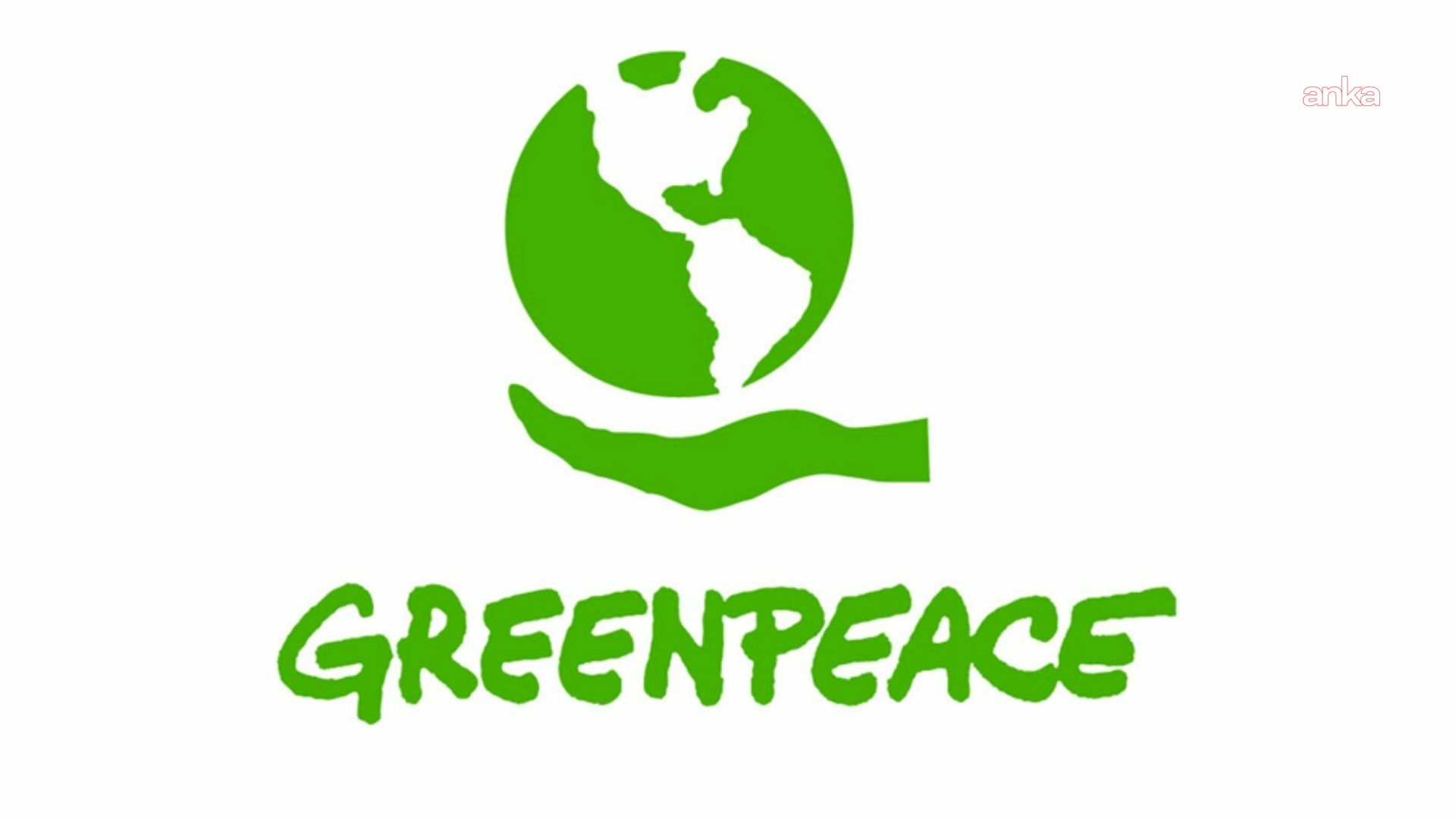 Greenpeace Türkiye: Giresun, maden projeleriyle tehdit altında