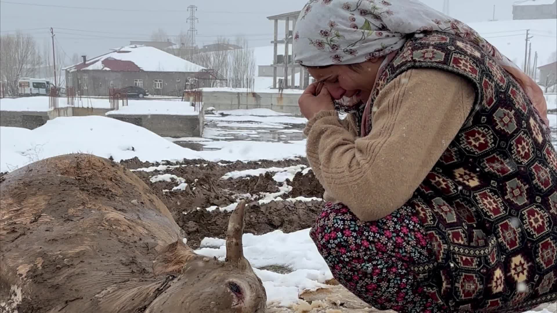 Hakkari'de çöken ahırda geçim kaynağı ineği kaybeden aile destek bekliyor