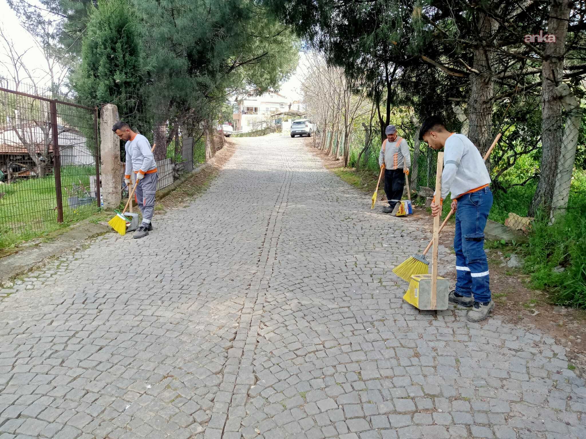 Ayvalık’ta temizlik seferberliği sürüyor