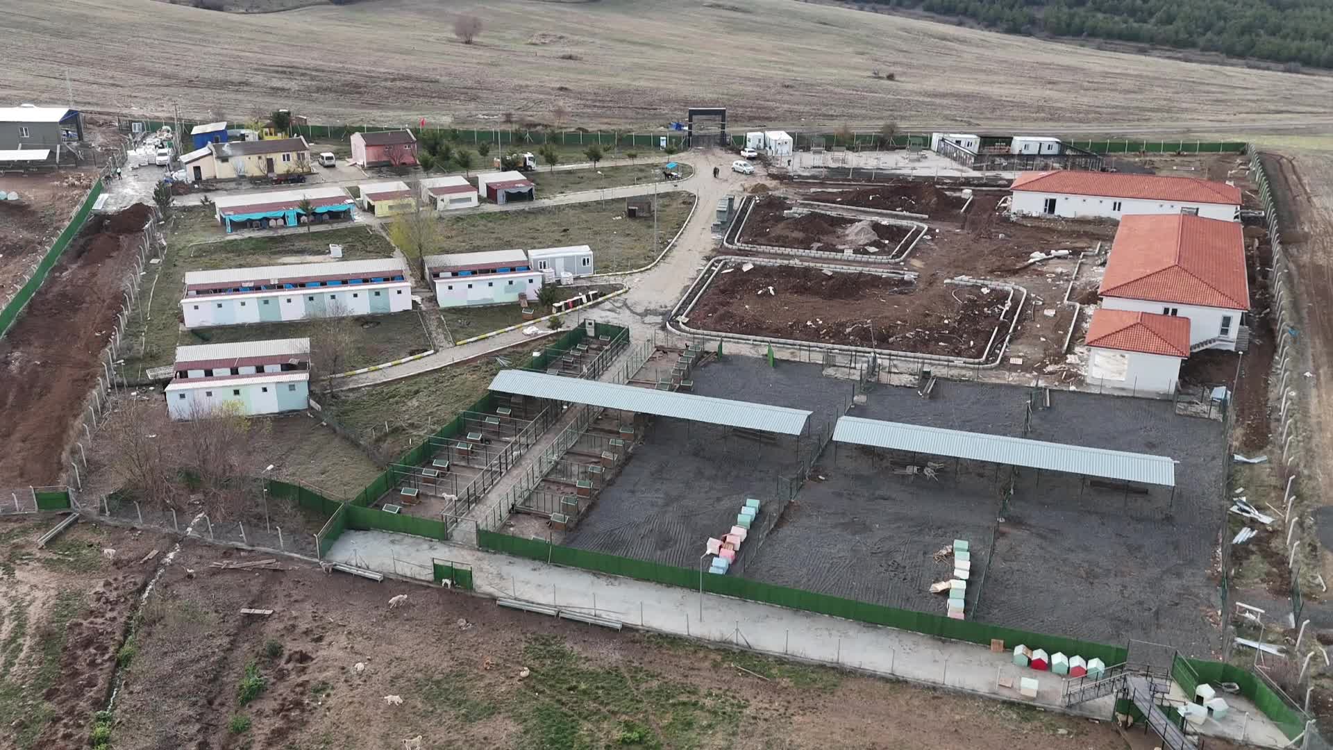 Yozgat'ta "Evcil Köy" bünyesinde kurulan mama tesisi üretime başladı