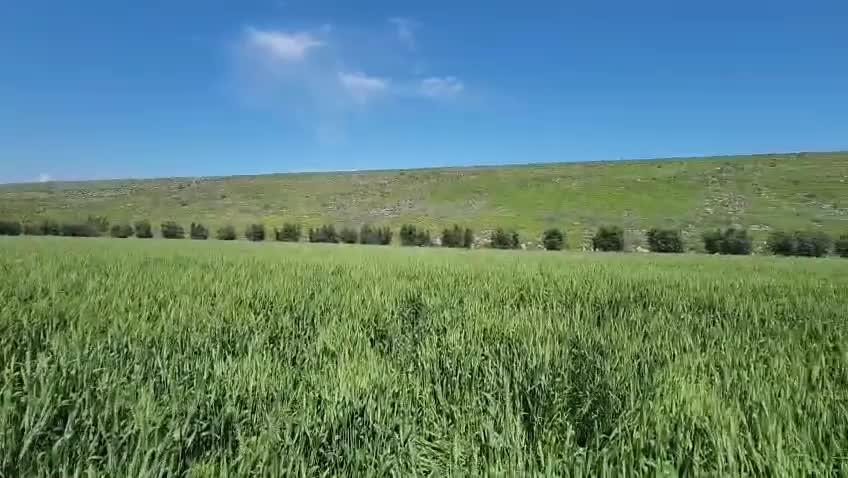 Hatay Kumlu’da baraj sızıntısı alarmı: Tarım arazileri ve evler su altında kalma riskiyle karşı karşıya