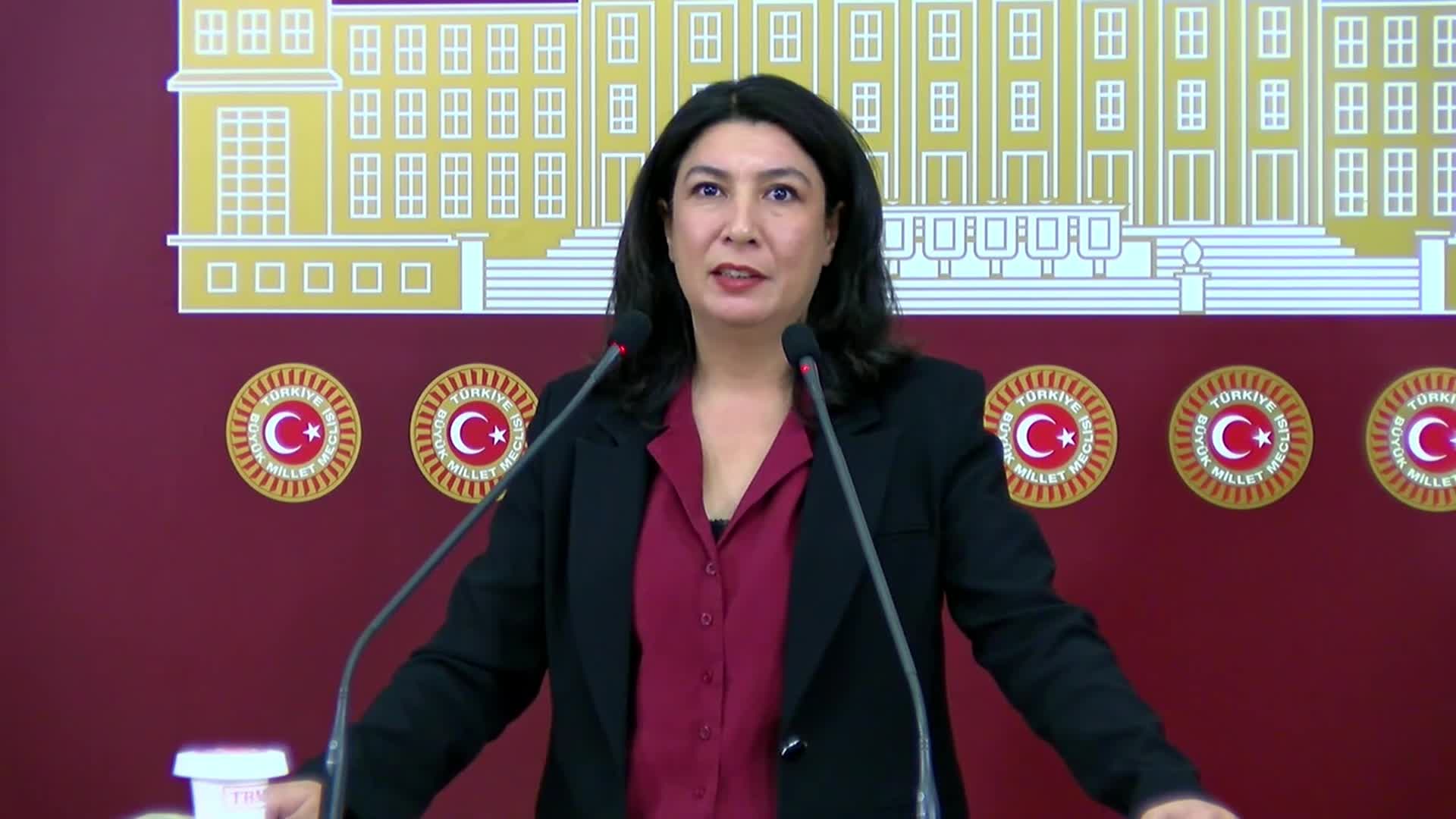 Halide Türkoğlu: "Gülistan Doku olayı bu ülkenin kolluğunun, yargısının, kurumlarının nasıl çöktüğünün bir kez daha göstergesi olmuştur"