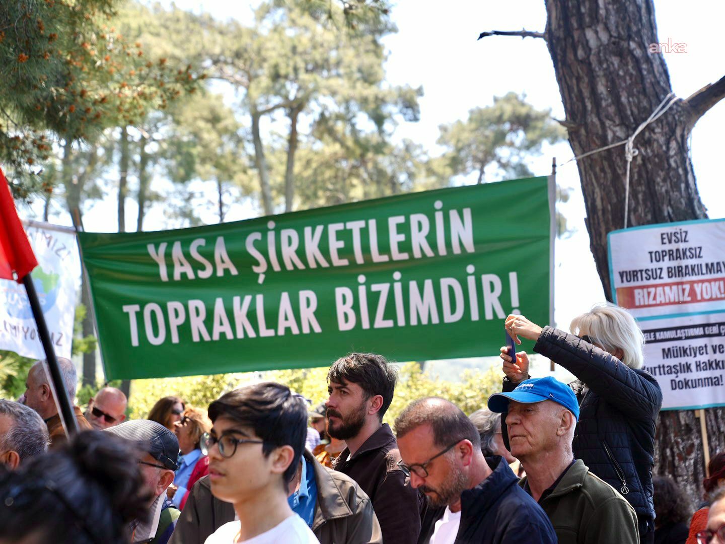 Alparslan Bayraktar: "Cezayir LNG’sini Türkiye üzerinden Avrupa’ya taşımayı hedefliyoruz"