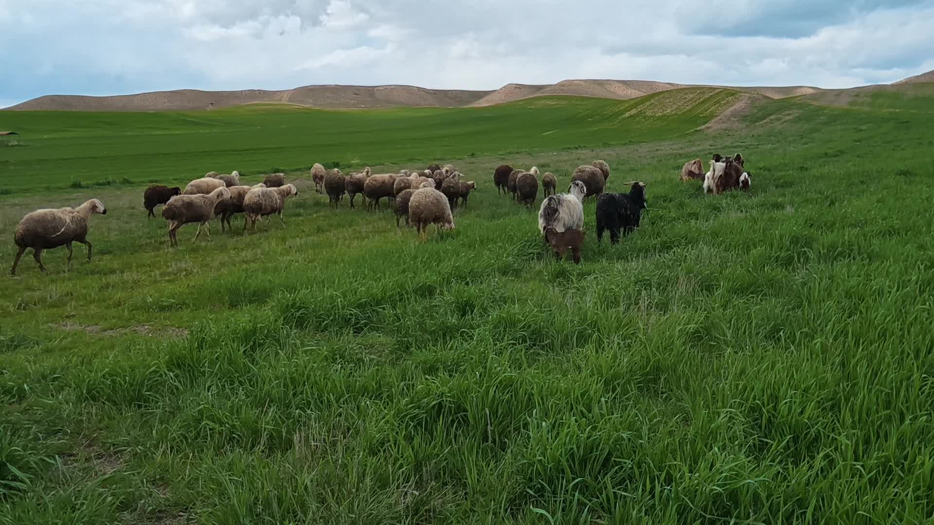 Depremde yıkılan Kubilay Apartmanı davasında 2 sanığa 3 yıl 9 ay ile 7 yıl 6 ay hapis cezası