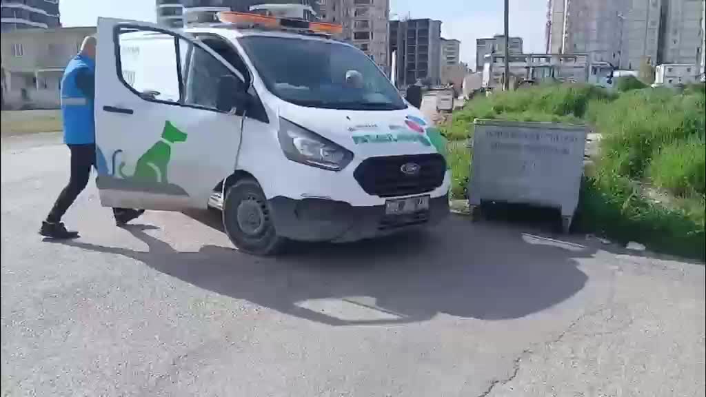 Adıyaman Belediyesi Patibulans'ın müdahalesiyle iki yavru kedi hayata tutundu