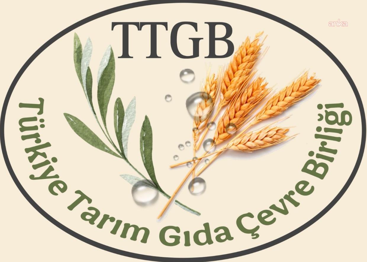 Türkiye Tarım, Gıda ve Çevre Birliği kuruldu