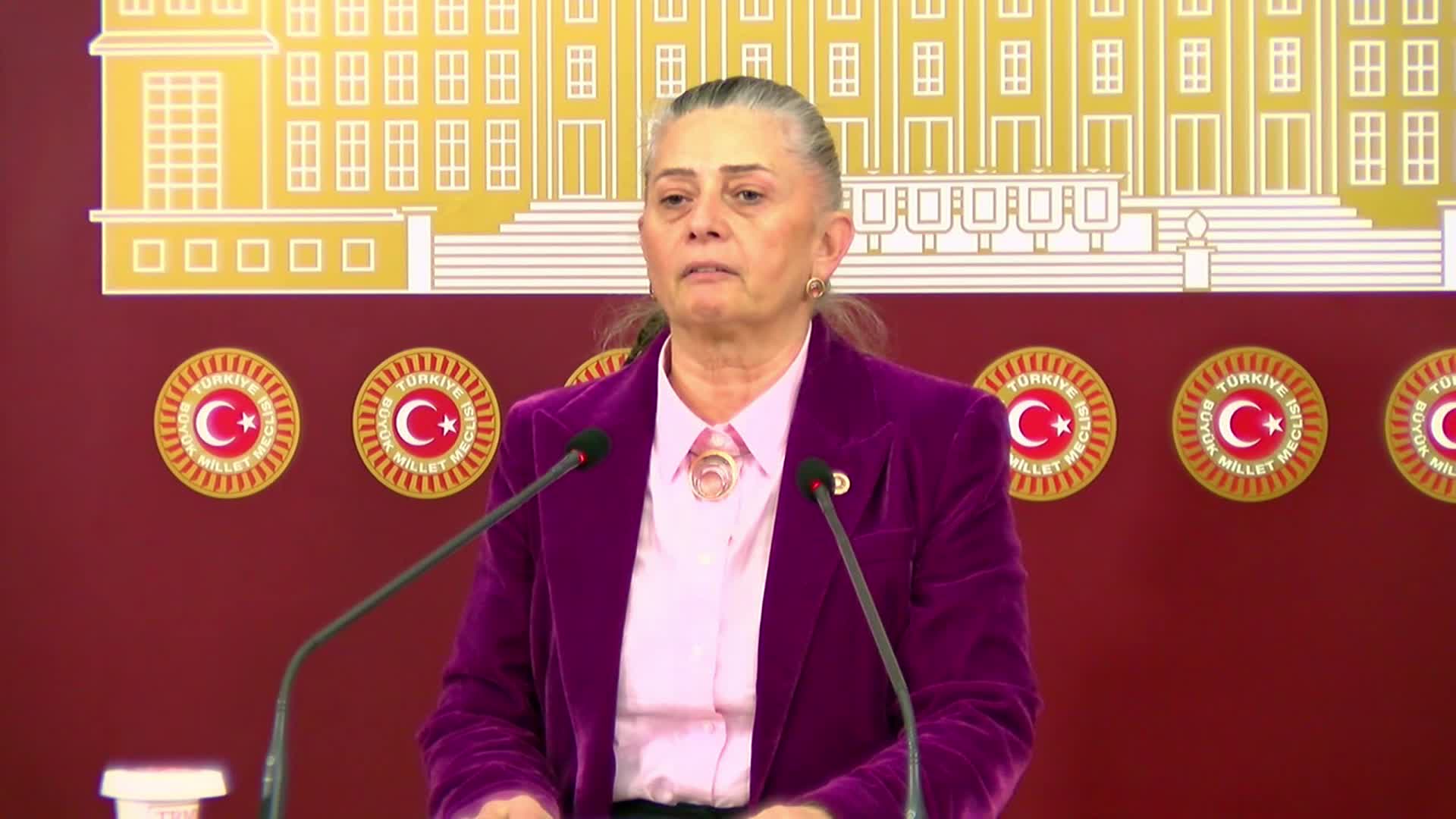 Sibel Suiçmez: İcra dosyaları dağ gibi birikmiş durumda