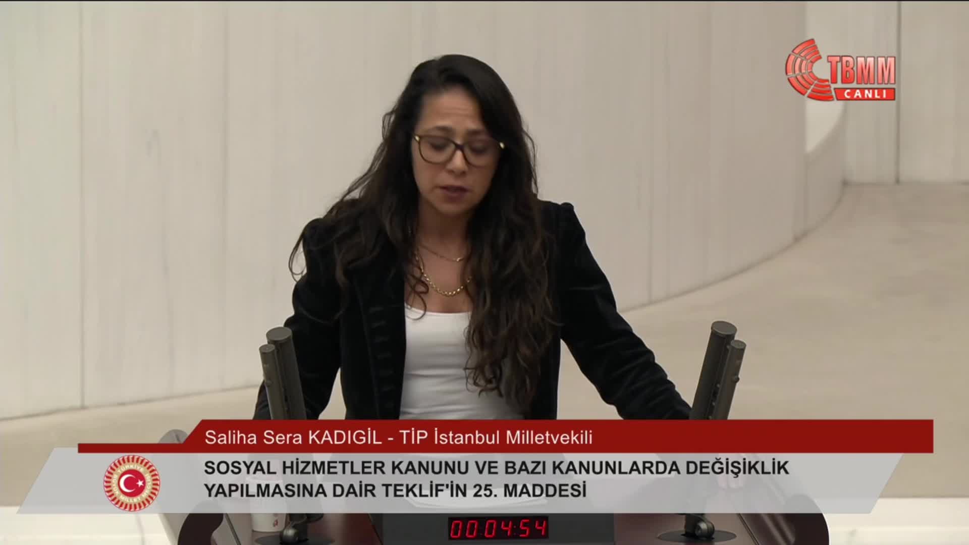 TBMM Genel Kurulu... Sera Kadıgil, AK Parti sıralarına seslendi: Hem kurban hem katil haline gelen çocuklardan bizzat sorumlusunuz