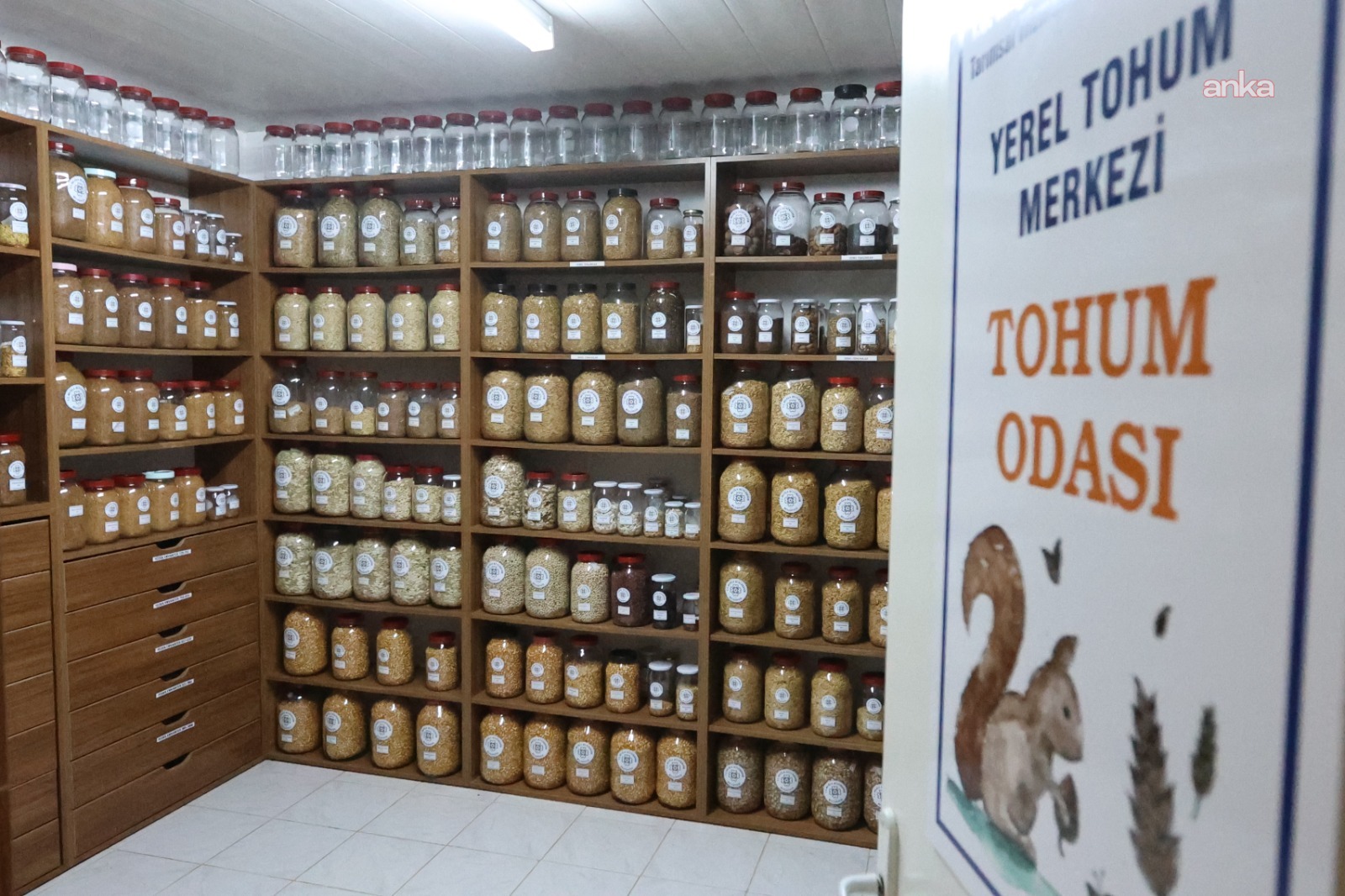 Muğla’nın ata tohumları ülke toprakları ile buluşmaya devam ediyor