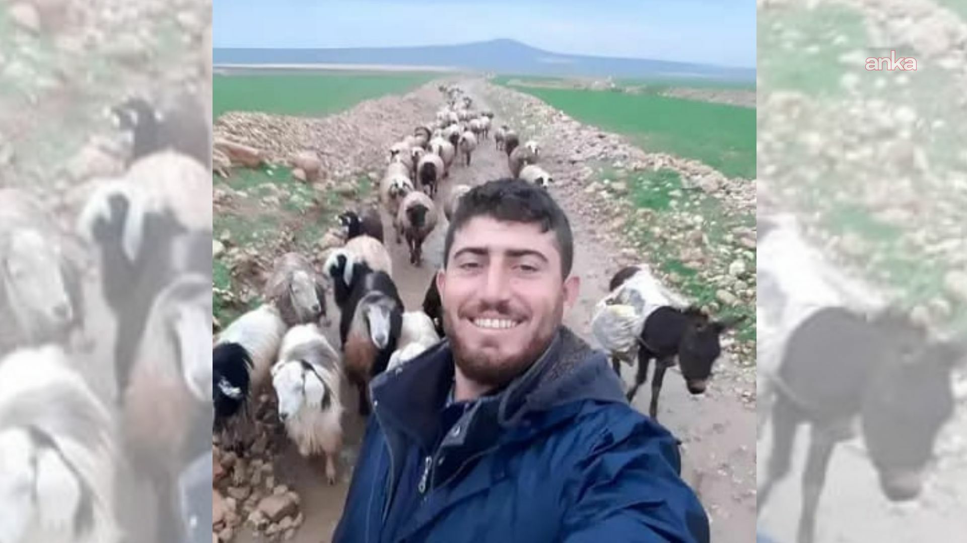 Mardin’de çoban cinayetiyle ilgili yürütülen soruşturmada gözaltına alınan 17 şüpheliden 5'i tutuklandı
