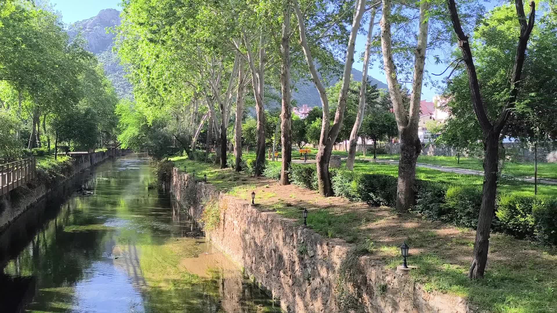 Geçim sıkıntısı çeken Adanalı vatandaş: "Adam kebabını yiyor biz de kokluyoruz"