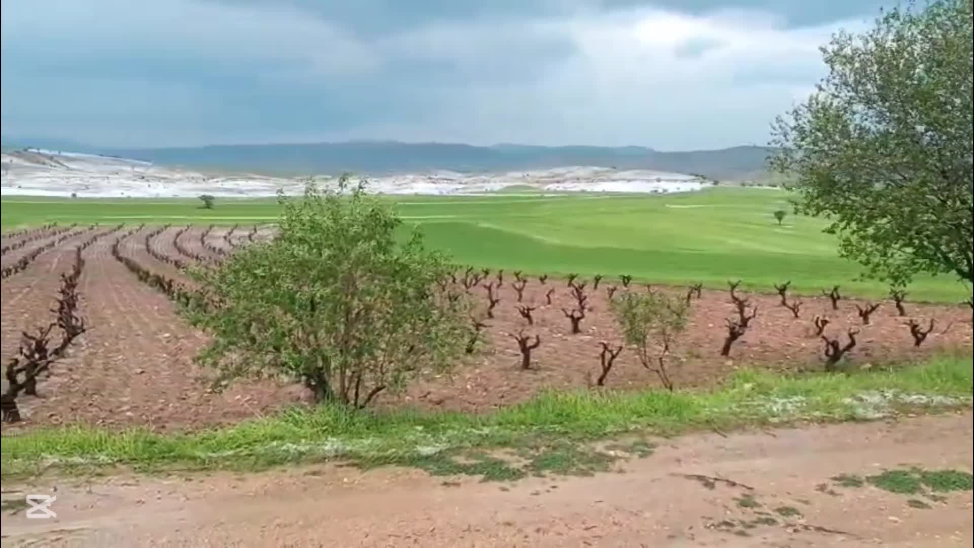 Elazığ'da dolu tarımsal alanlara zarar verdi