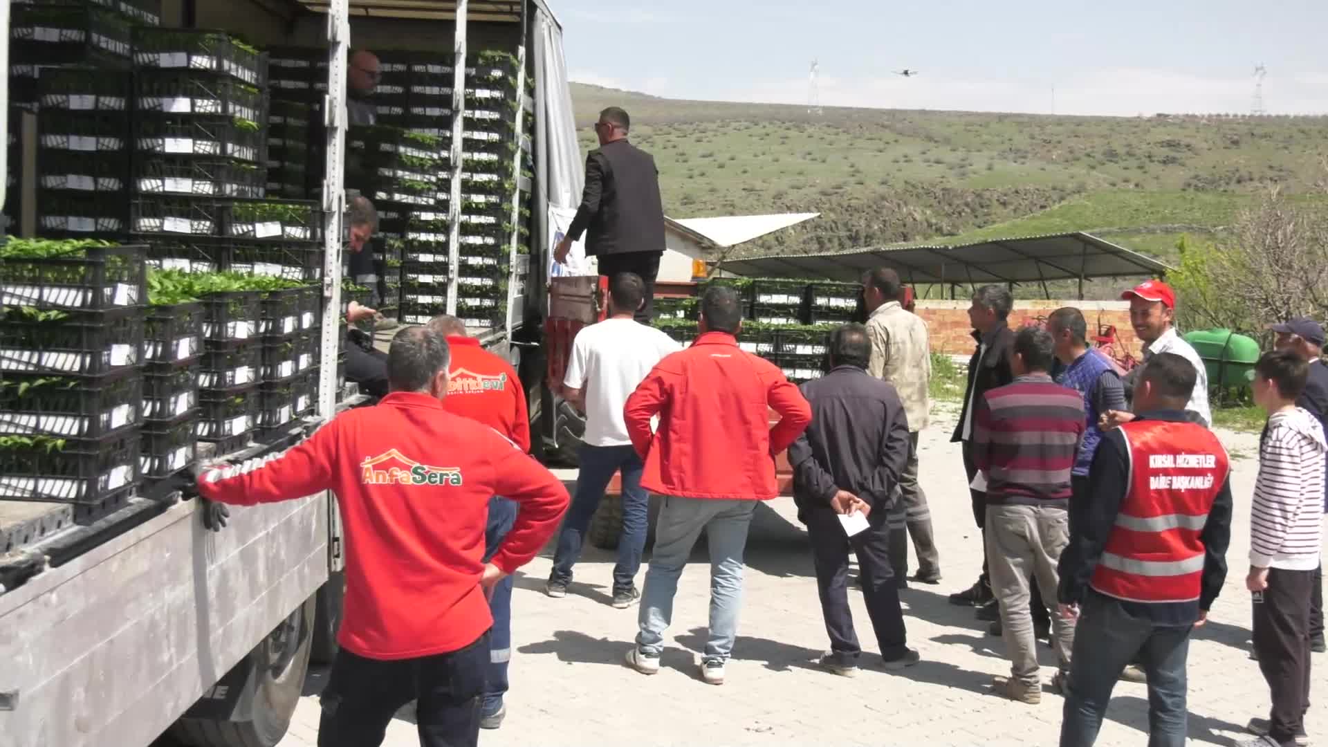 Ankara Büyükşehir Belediyesi'nden 8 ilçede erkenci fide desteği