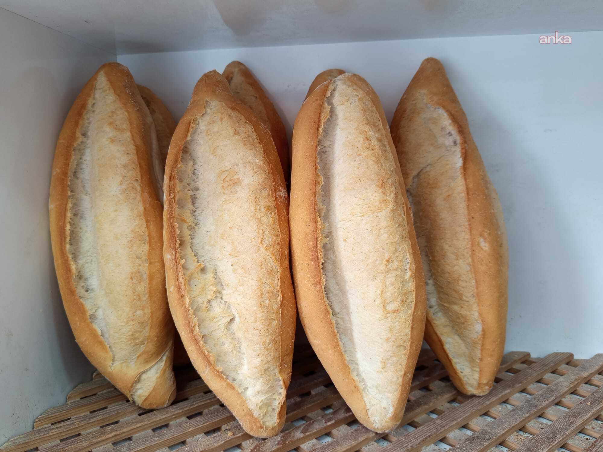 Edirne'de ekmeğe zam geldi