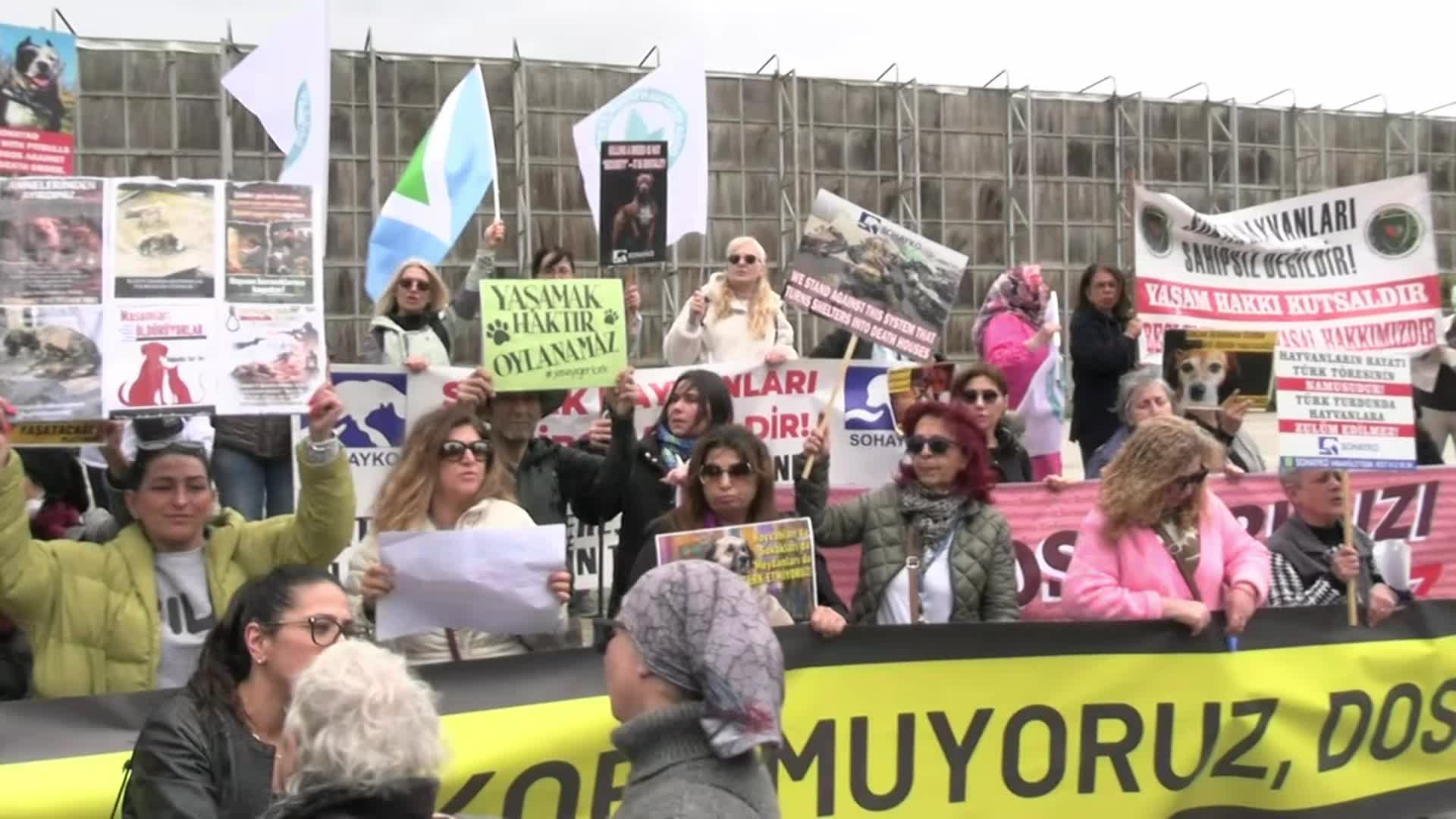 Yaşam hakkı savunucuları İstanbul İl Hayvanları Koruma Kurulu'nun toplantı yaptığı bina önünde eylem yaptı