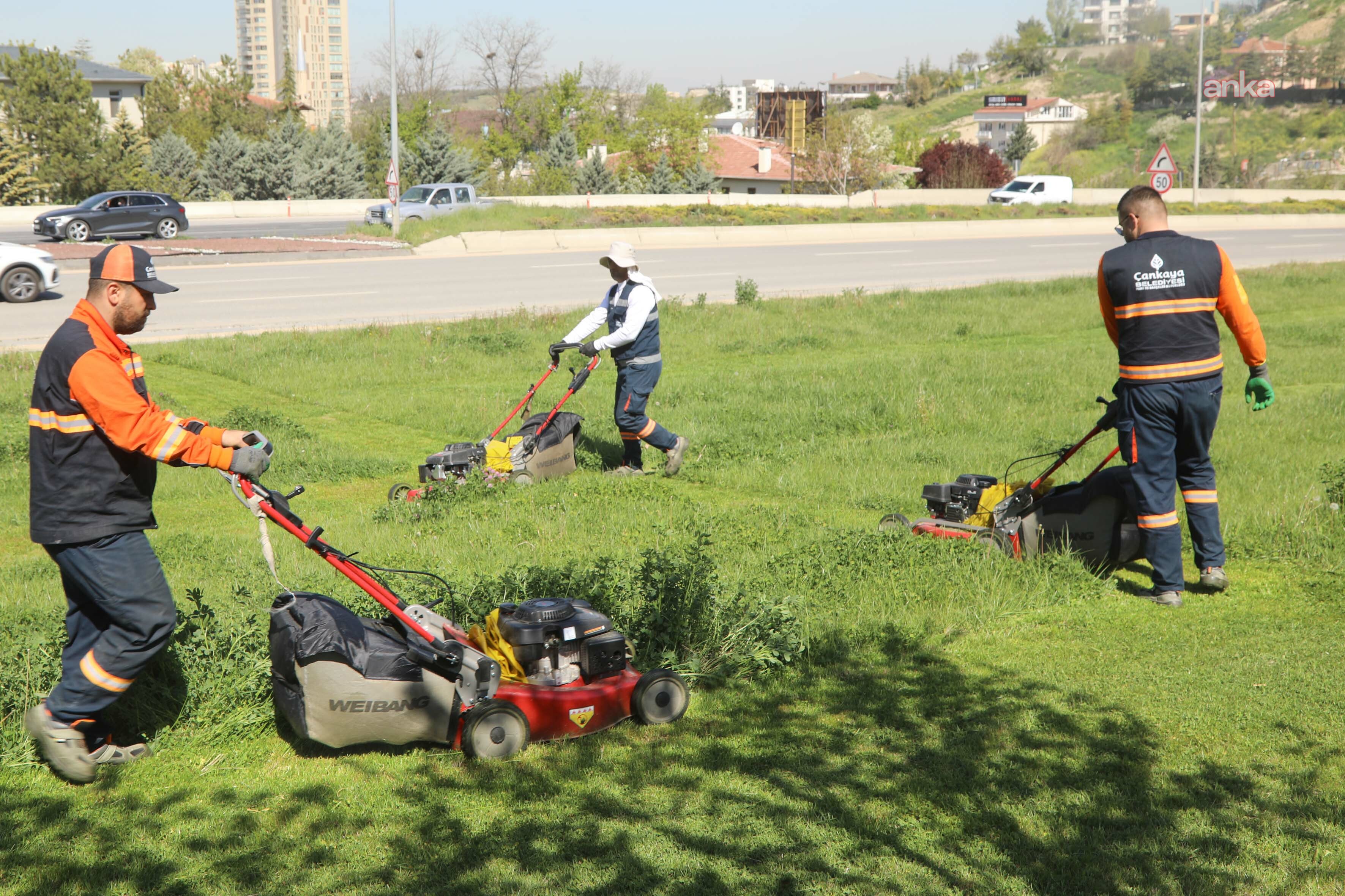 Çankaya Belediyesi'nden parklarda çim biçme çalışması