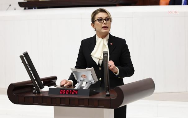Asu Kaya, Bakan Işıkhan'a "ev kadınlarına emeklilik" düzenlemesini sordu: "3 yıl geçti somut adım nerede?"