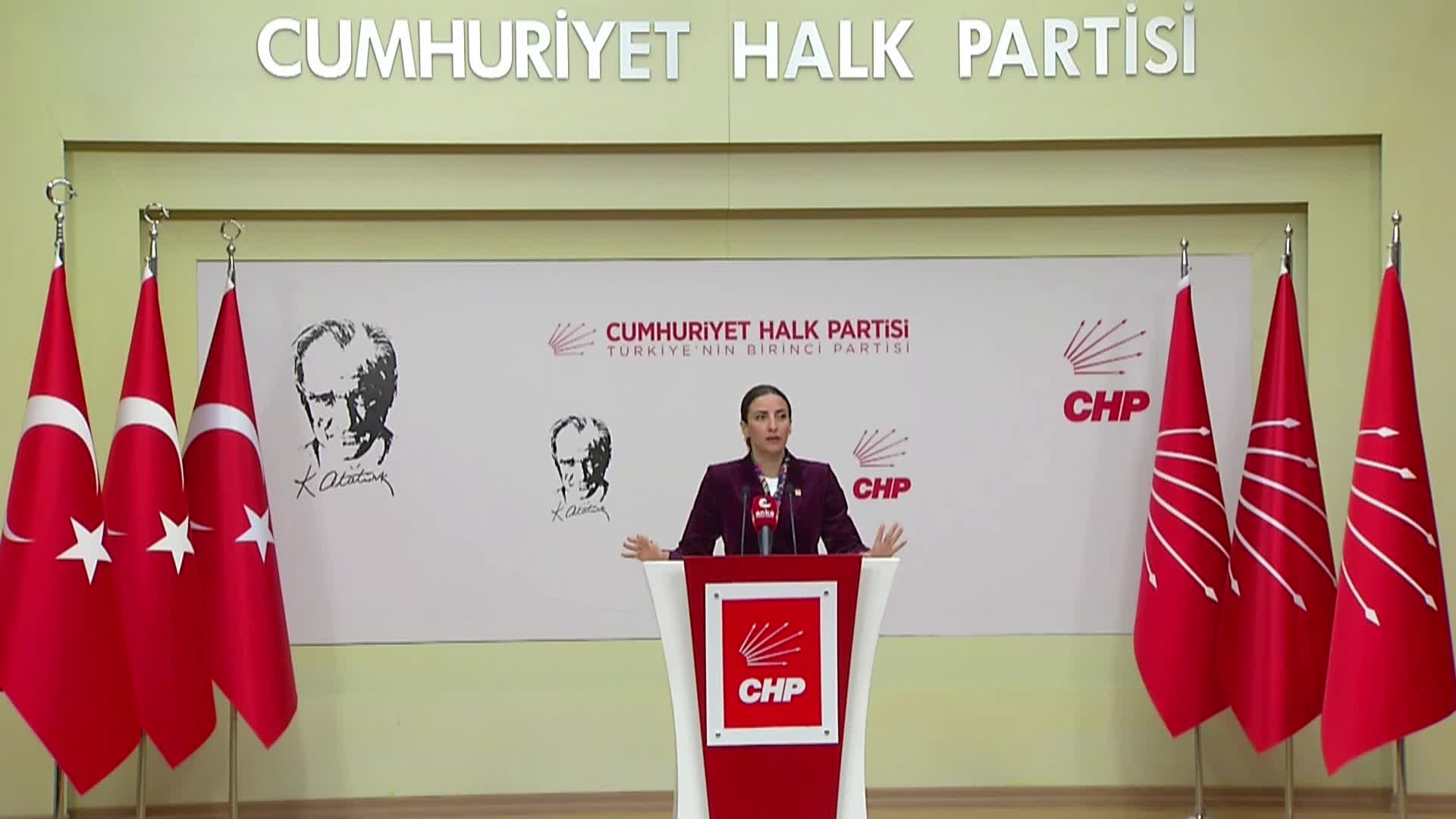 CHP’li Rızvanoğlu: “Orman yangınlarında kontrol kaybedildi, gönüllülük sistemi risk üretiyor”