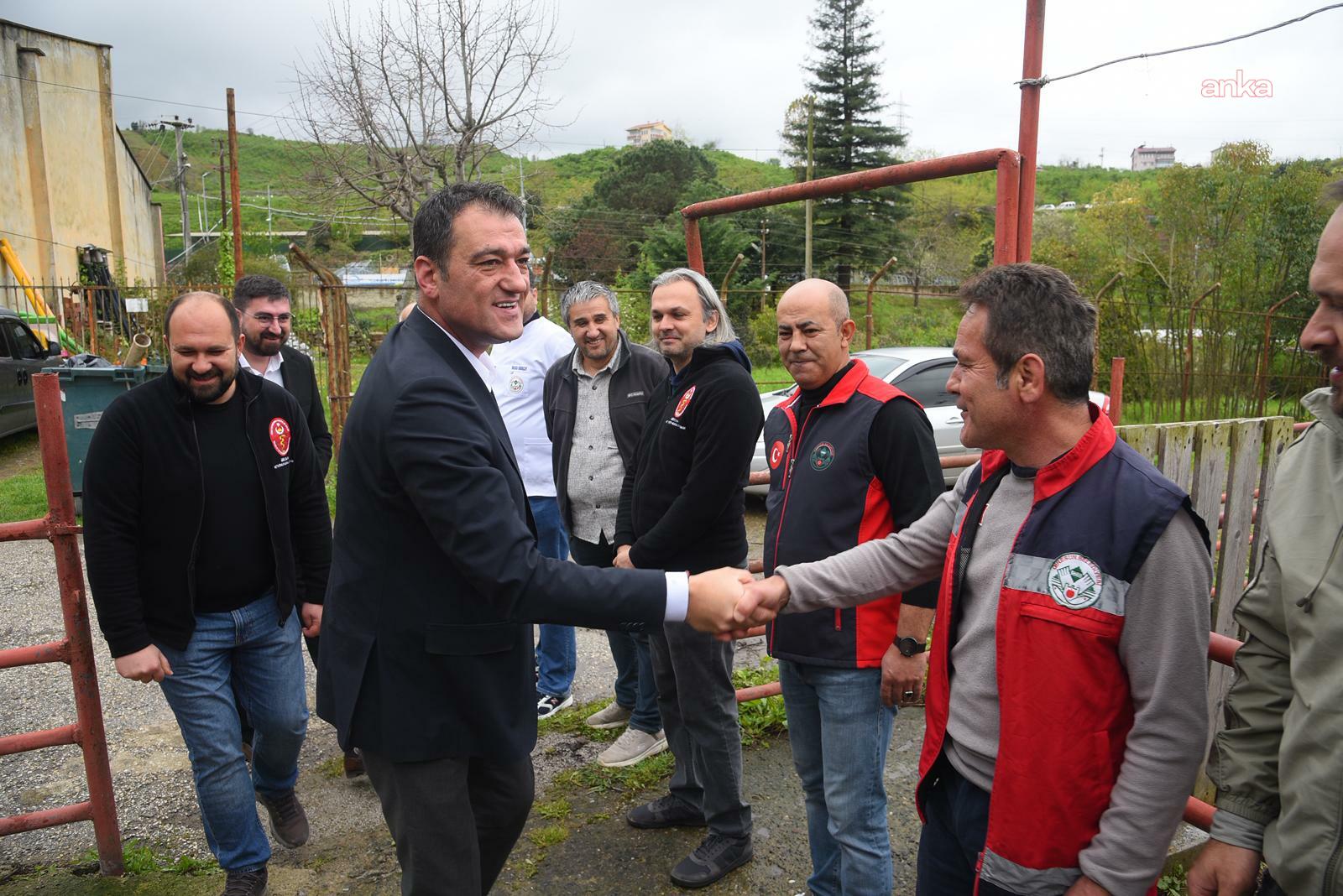 Giresun Belediyesi mezbahanesinde bayram hazırlığı başladı