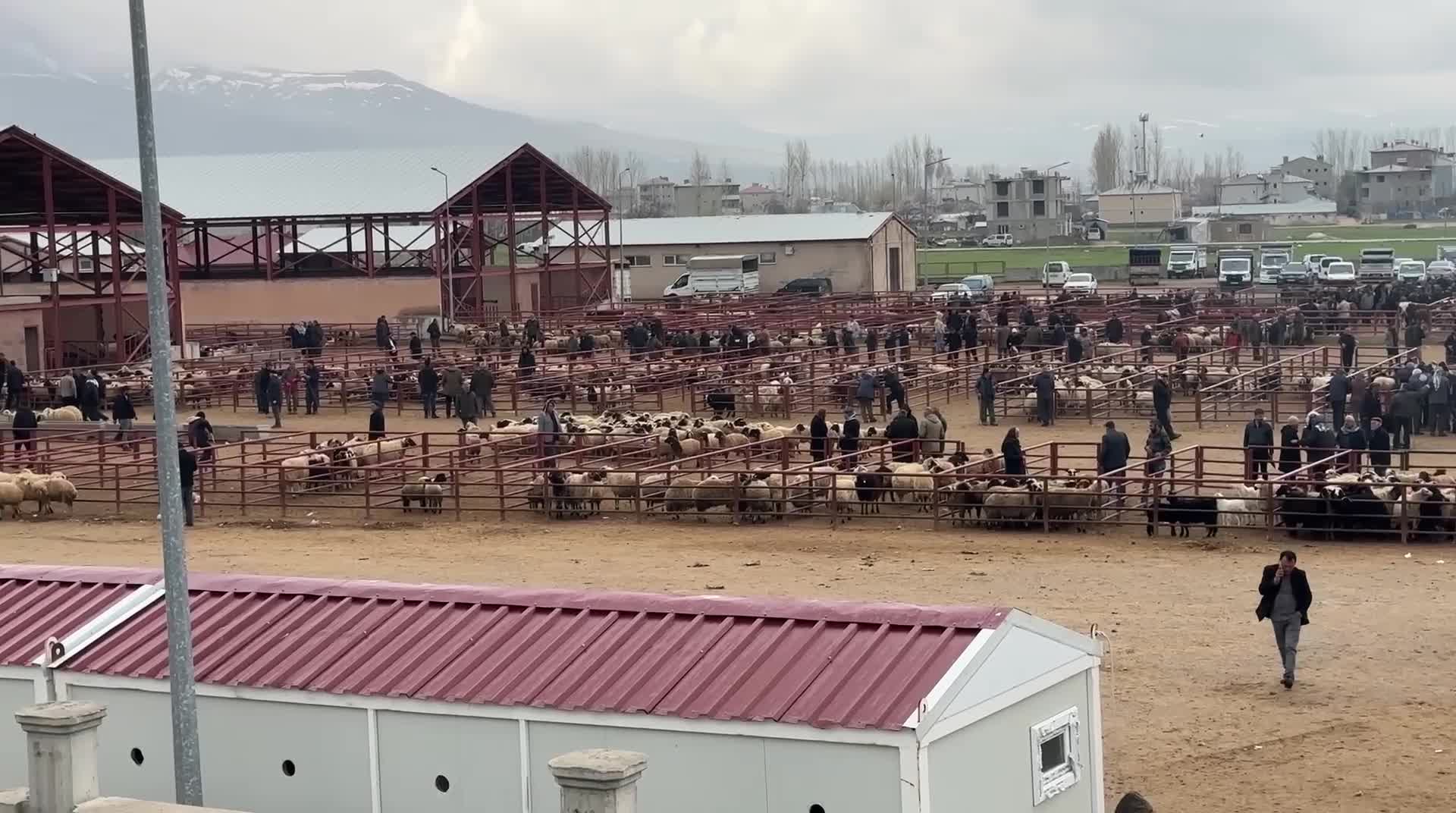 Van'da hayvan pazarında Kurban Bayramı öncesi durgunluk yaşanıyor