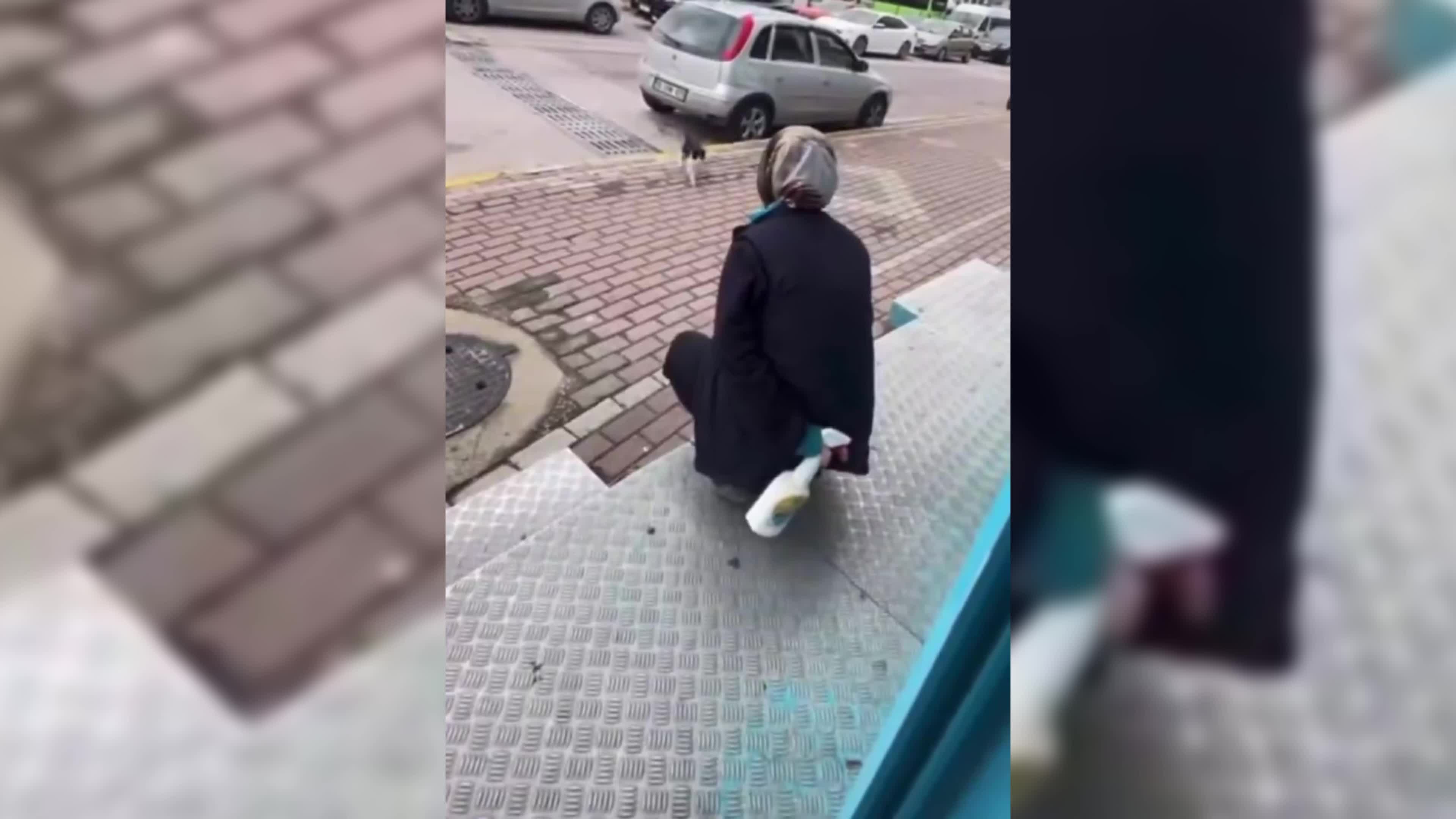 Karamürsel'de kediye sıvı deterjan sıkan market çalışanı adli kontrolle serbest bırakıldı, iş akdi ise feshedildi