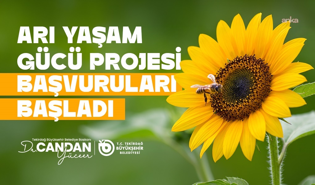 Tekirdağ Büyükşehir Belediyesi'nin Arı Yaşam Gücü Projesi'ne başvurular başladı