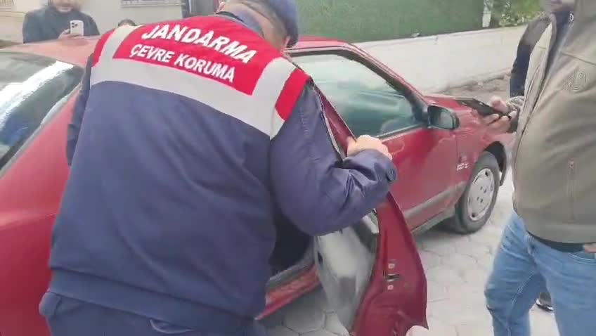 Yozgat'ta yolda bulunan yavru maymun koruma altına alındı